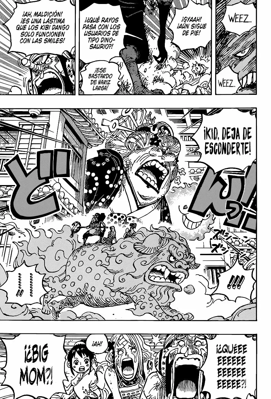 One Piece capítulo 1011 página 17