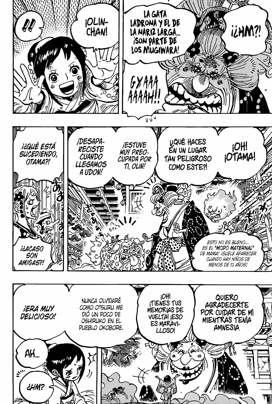One Piece capítulo 1011 página 18