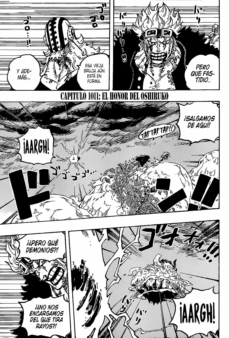 One Piece capítulo 1011 página 3
