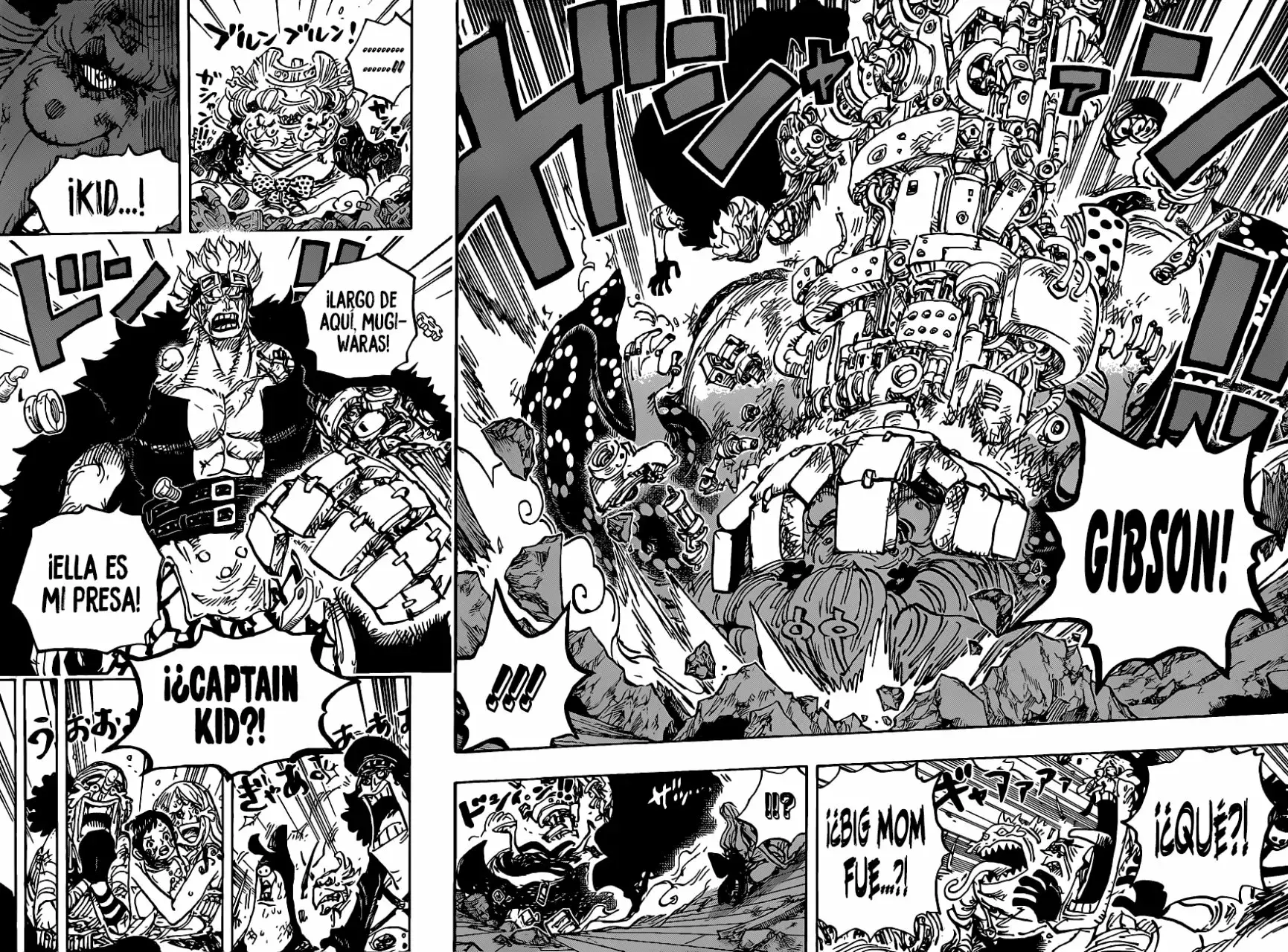 One Piece capítulo 1013 página 14
