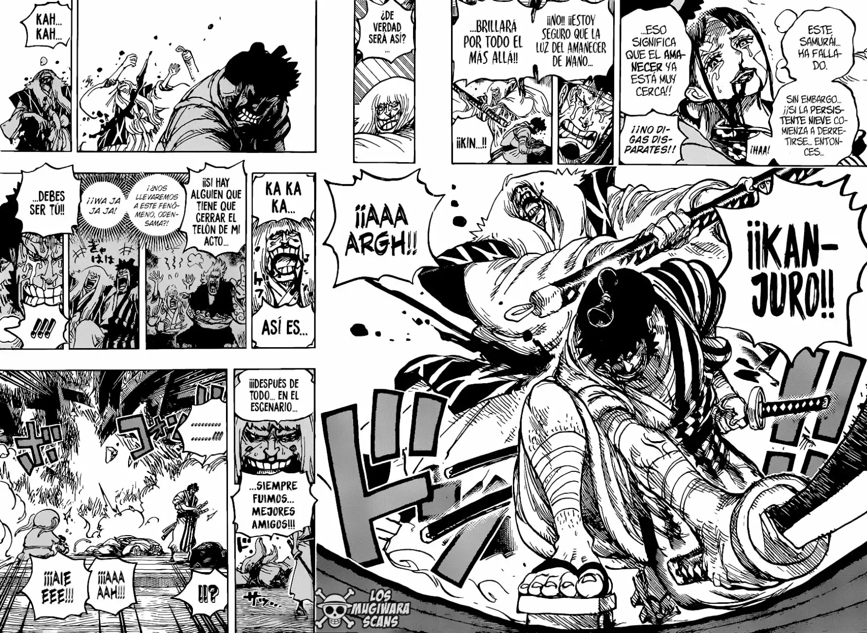 One Piece capítulo 1014.5 página 14
