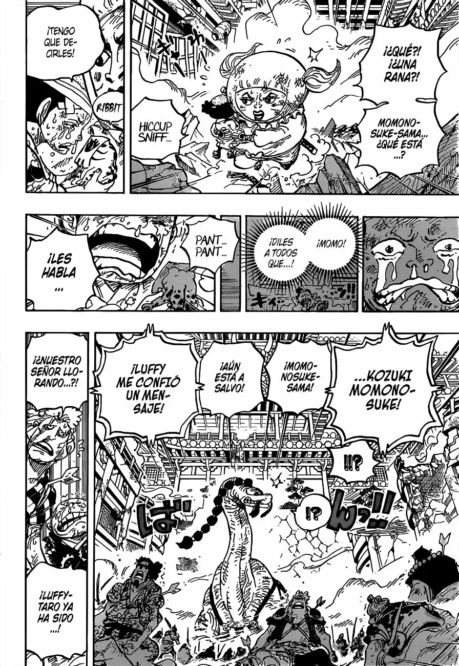One Piece capítulo 1015 página 12