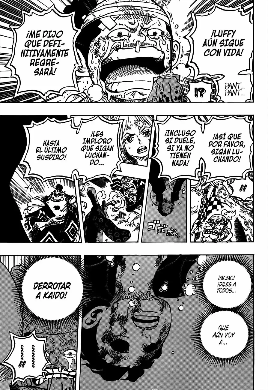One Piece capítulo 1015 página 13