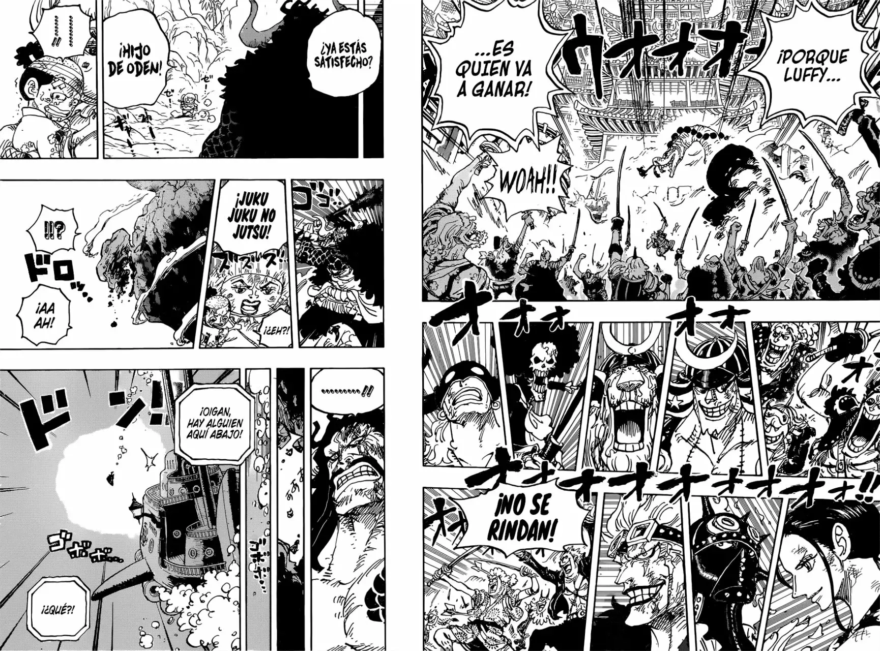 One Piece capítulo 1015 página 14
