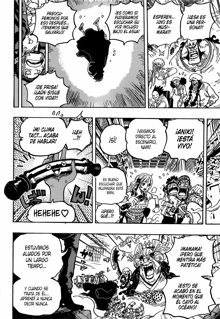 One Piece capítulo 1015 página 15