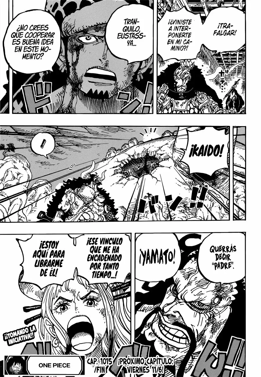 One Piece capítulo 1015 página 16