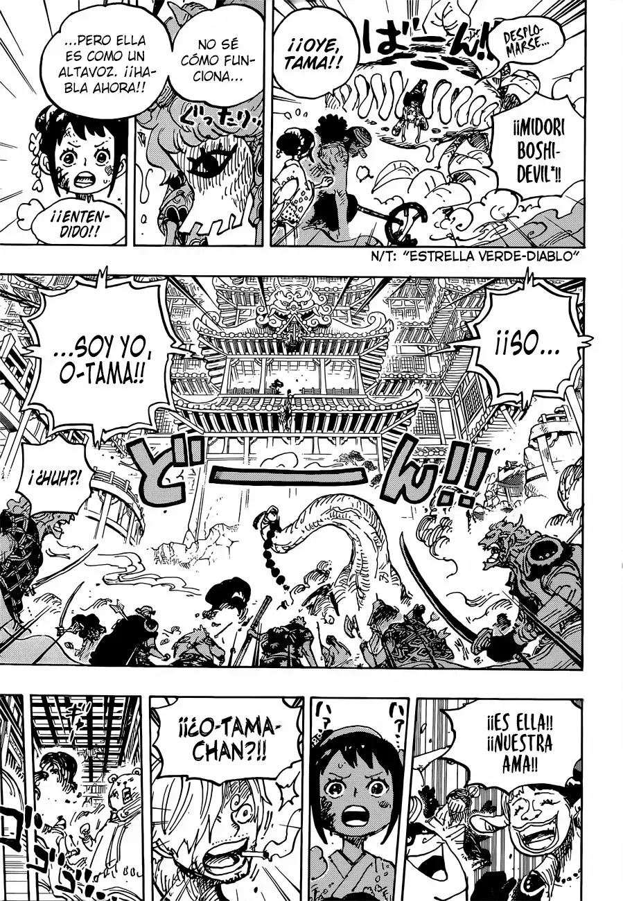 One Piece capítulo 1016.5 página 13