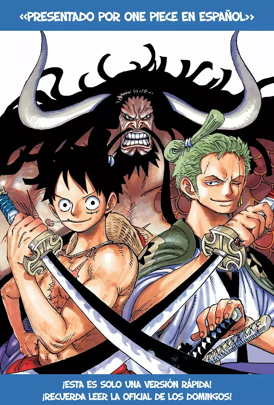 One Piece capítulo 1016 página 17