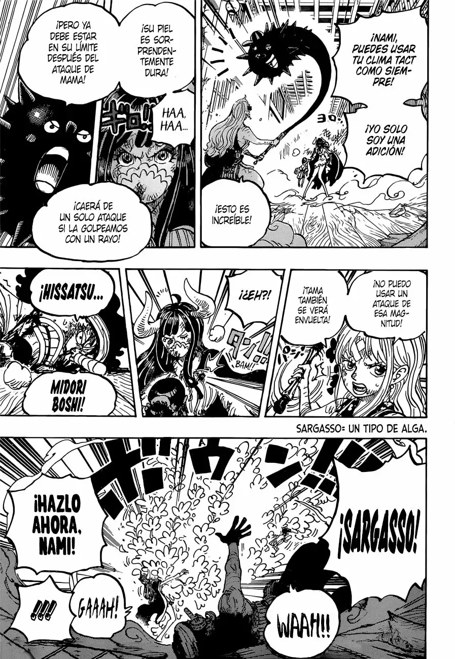 One Piece capítulo 1016 página 9