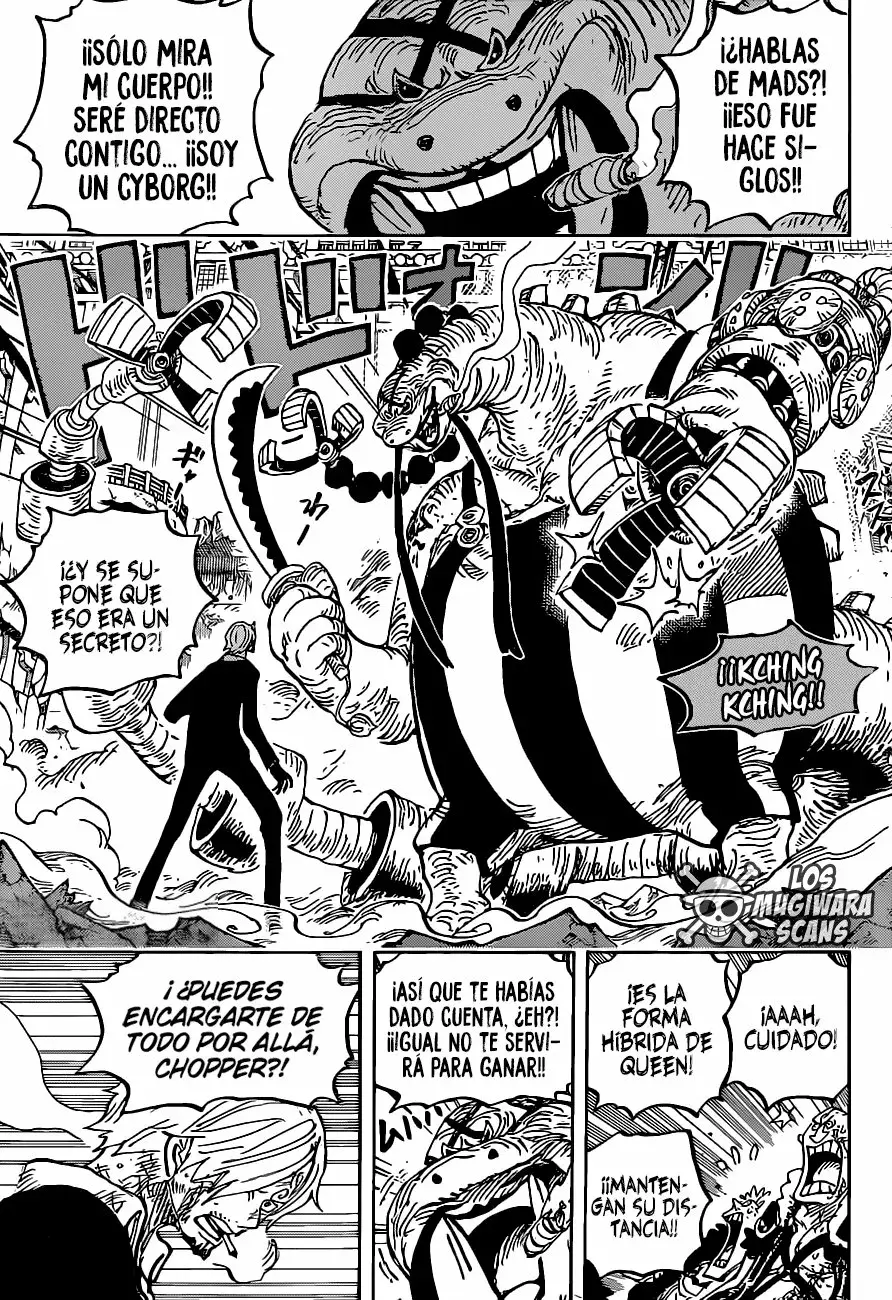 One Piece capítulo 1017.5 página 12