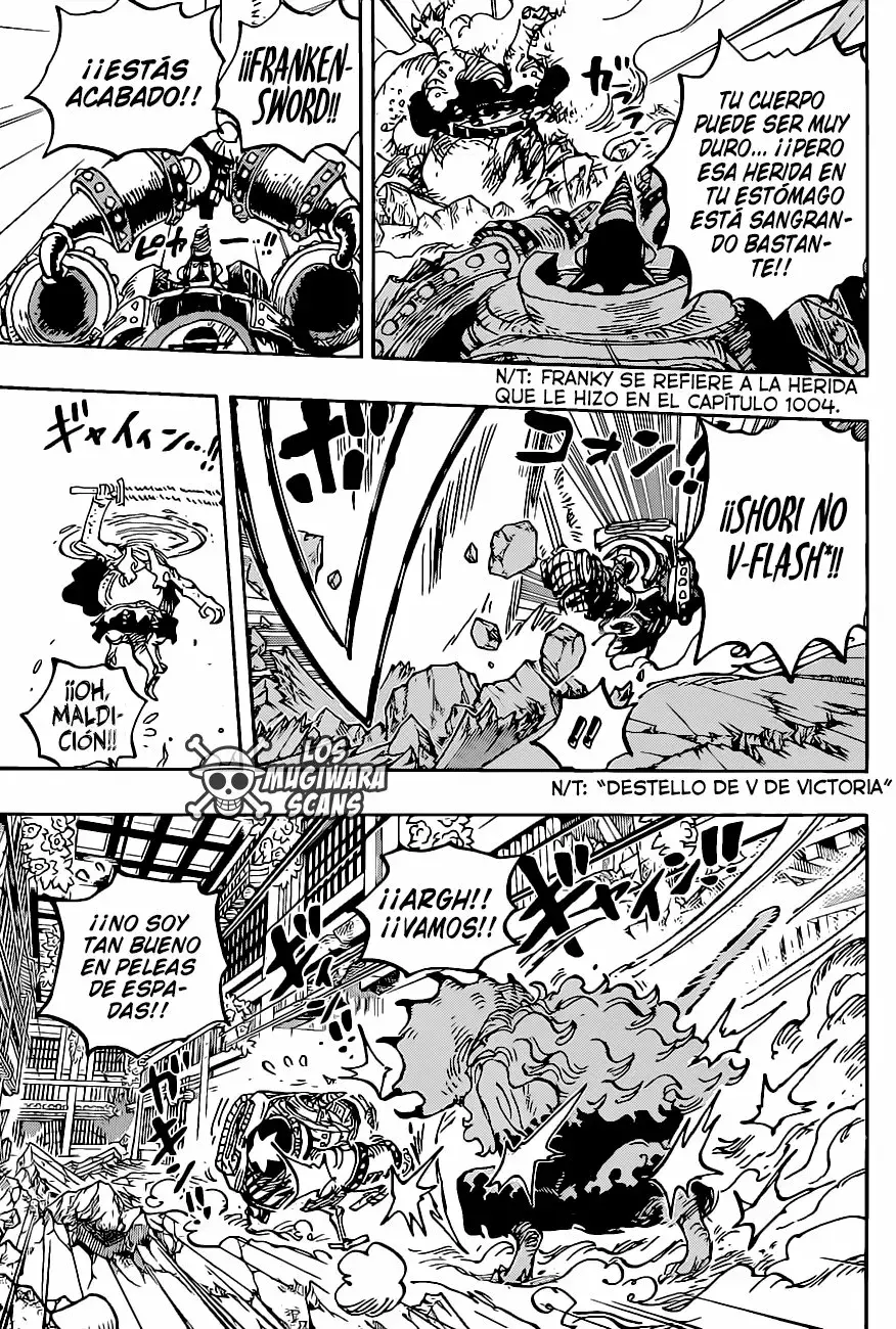 One Piece capítulo 1019.5 página 14