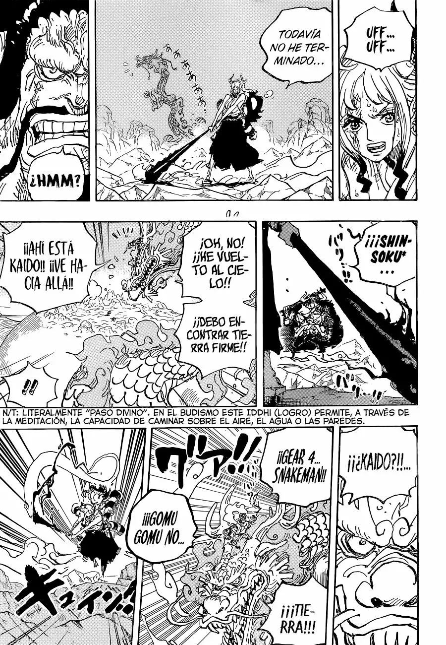 One Piece capítulo 1025 página 14