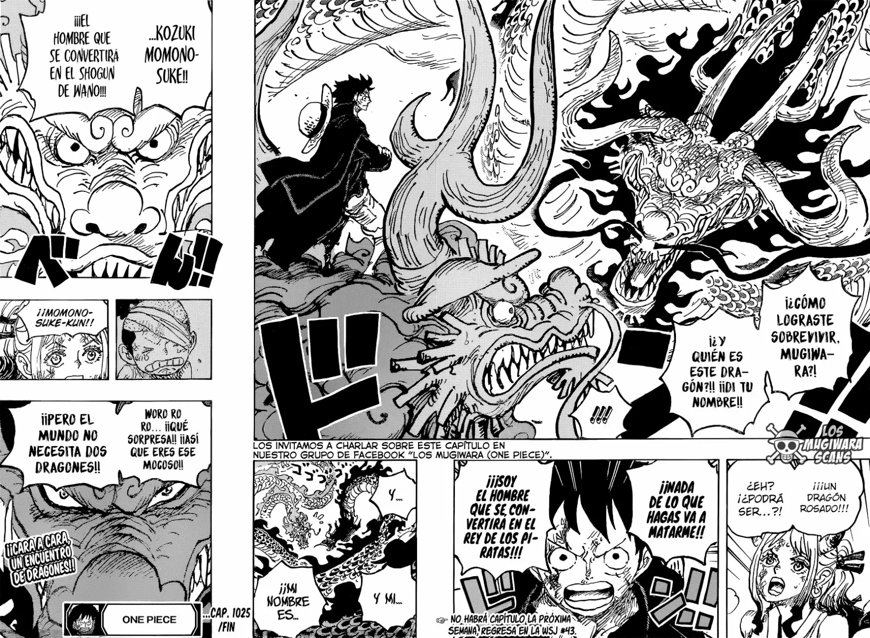 One Piece capítulo 1025 página 16