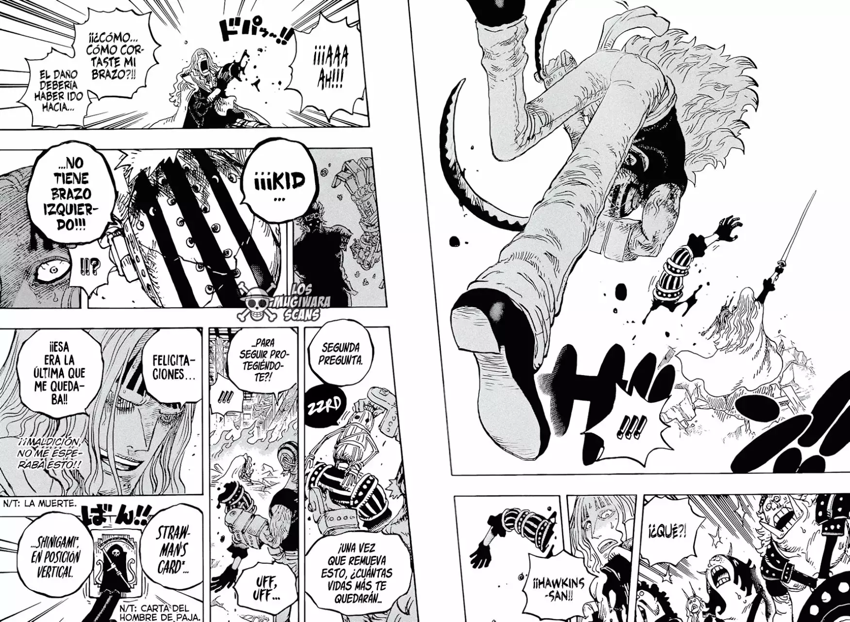 One Piece capítulo 1029.5 página 13