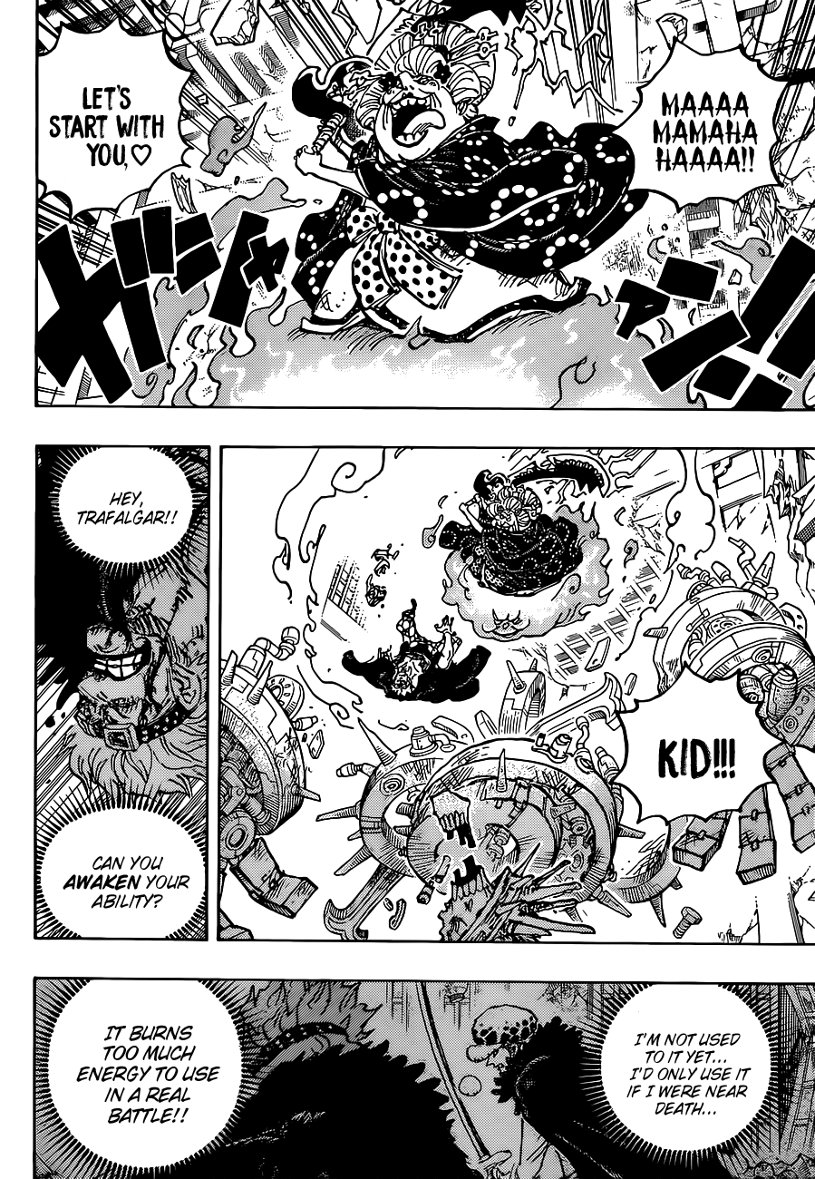 One Piece capítulo 1030 página 13