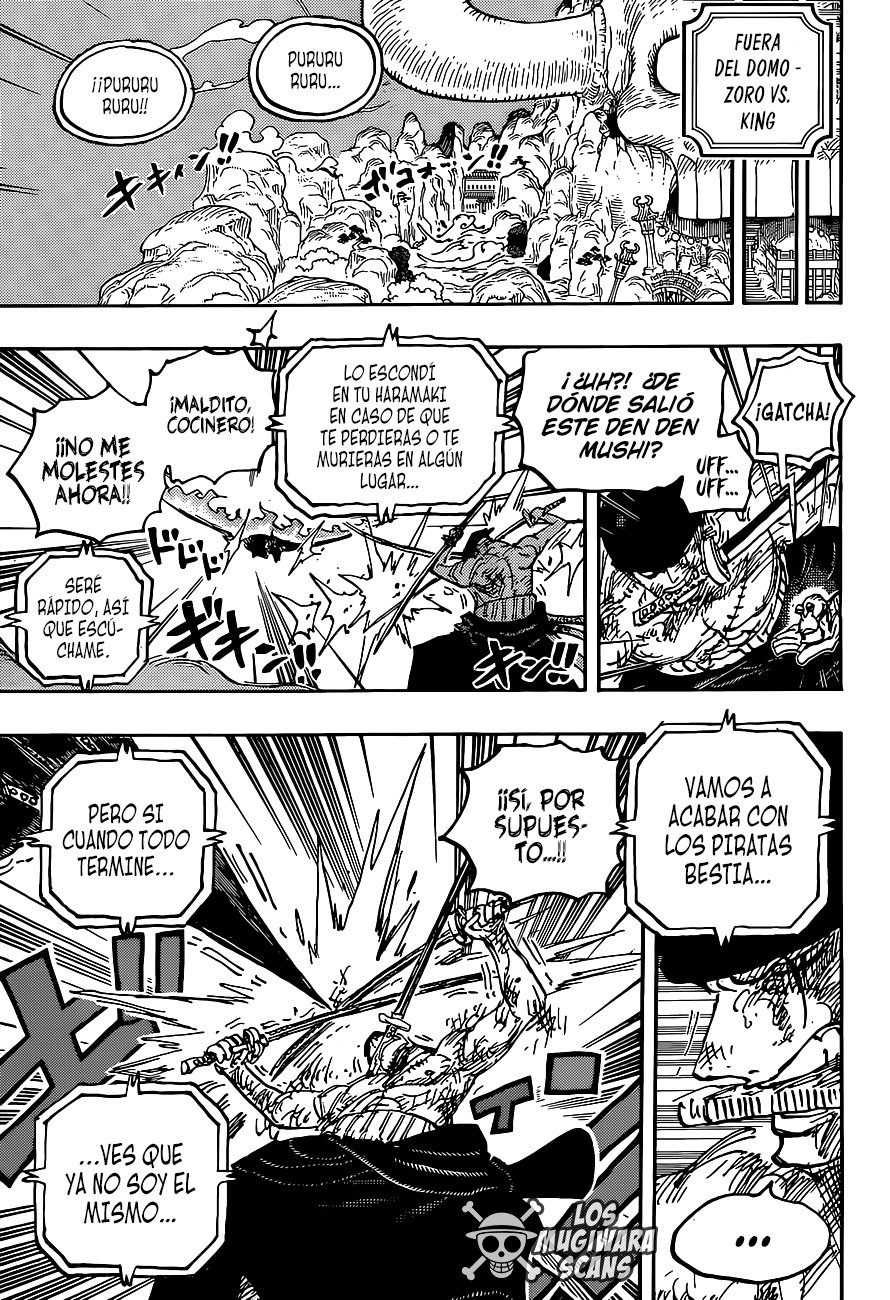One Piece capítulo 1031 página 18