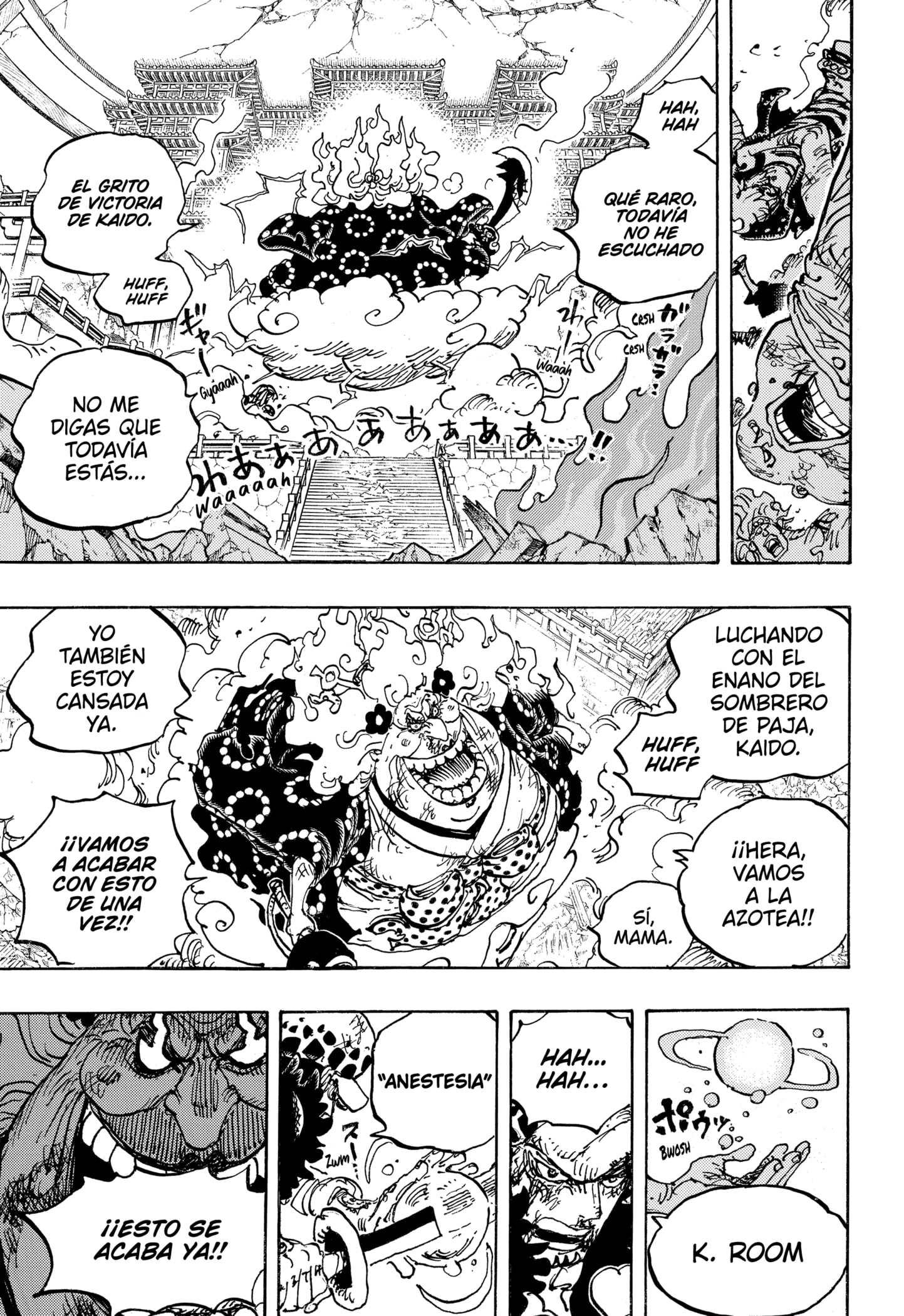 One Piece capítulo 1038 página 13