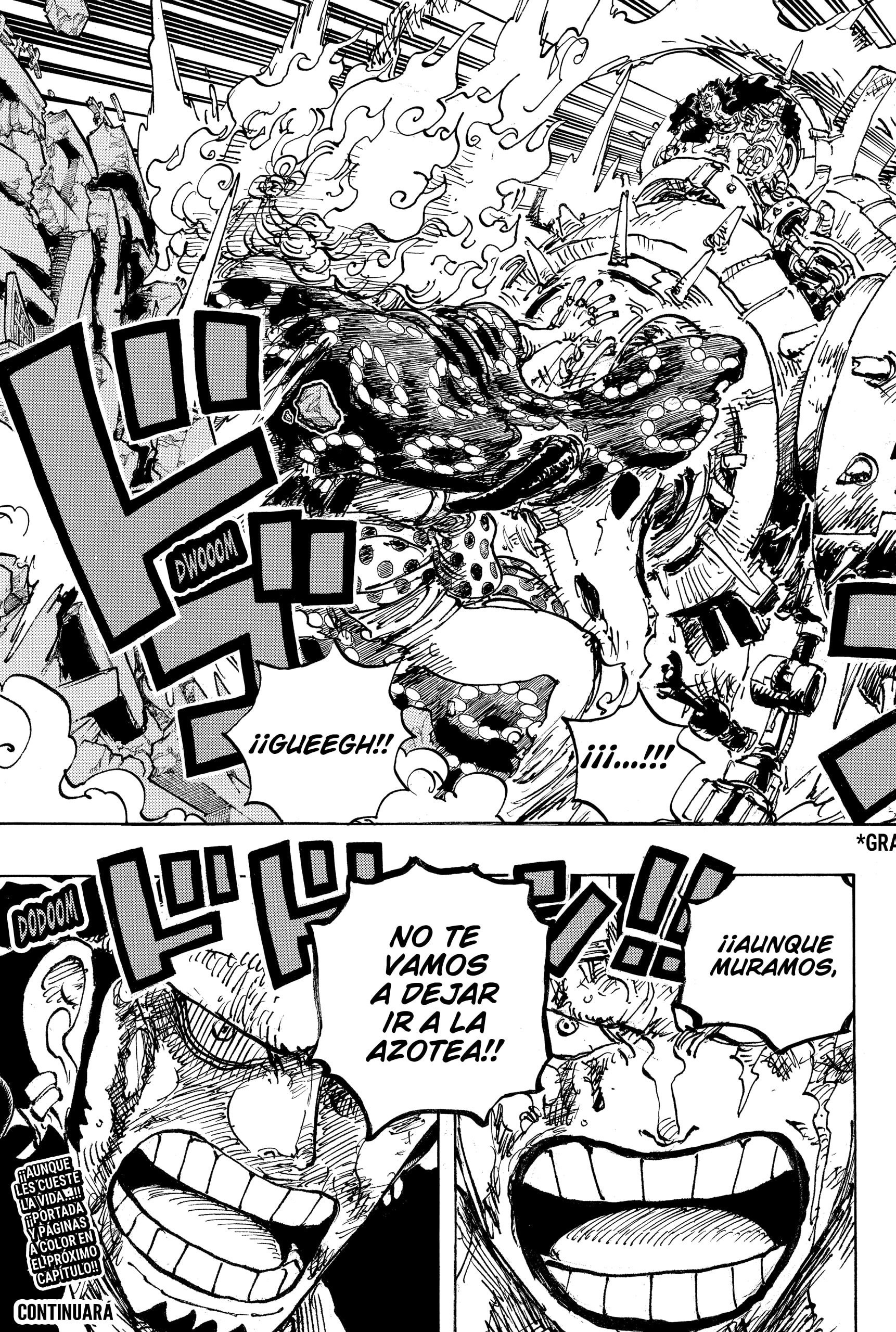 One Piece capítulo 1038 página 17