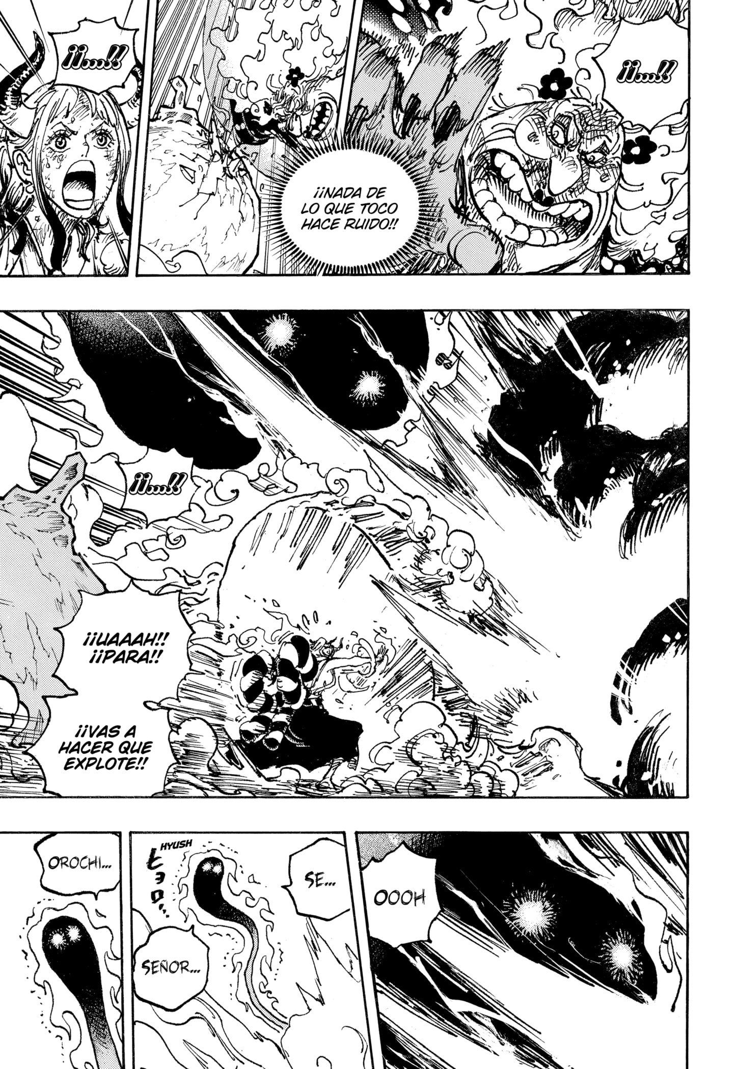 One Piece capítulo 1040 página 9