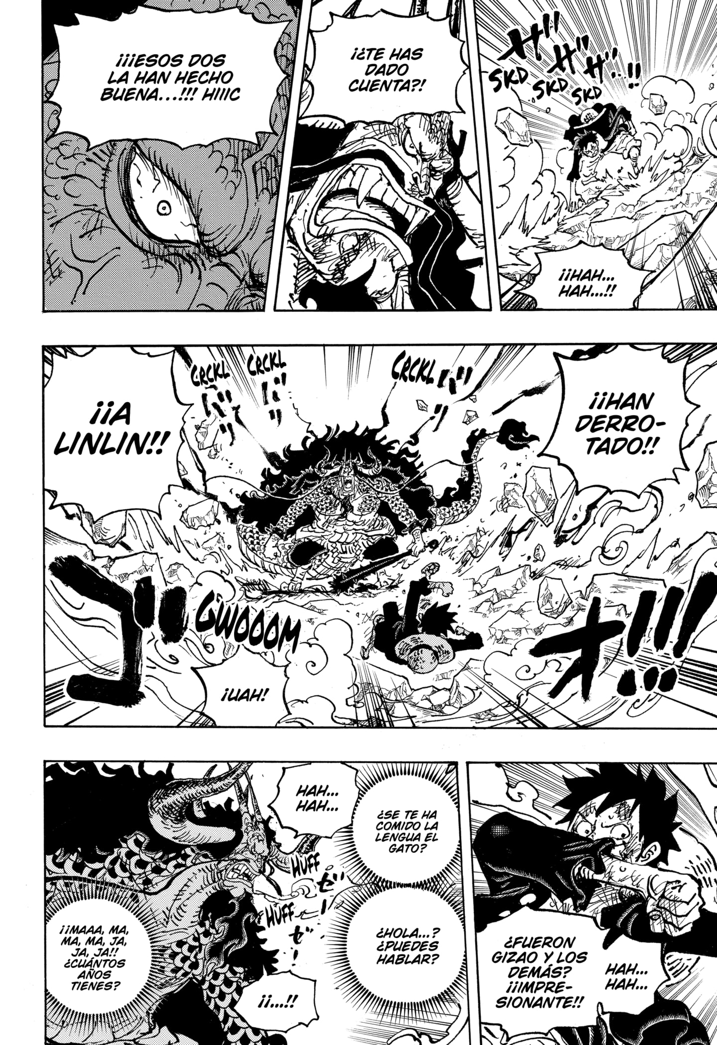 One Piece capítulo 1041 página 14