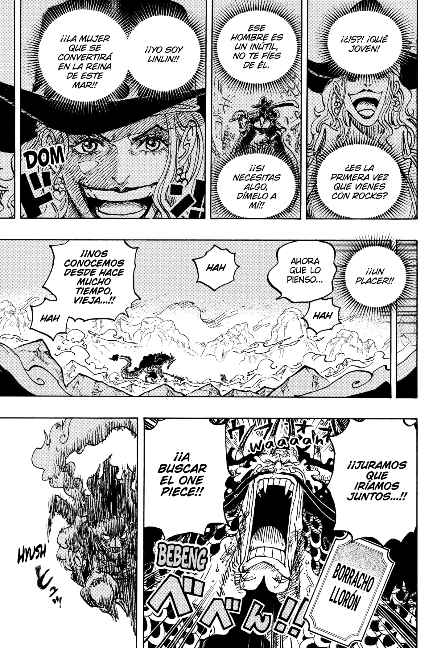 One Piece capítulo 1041 página 15