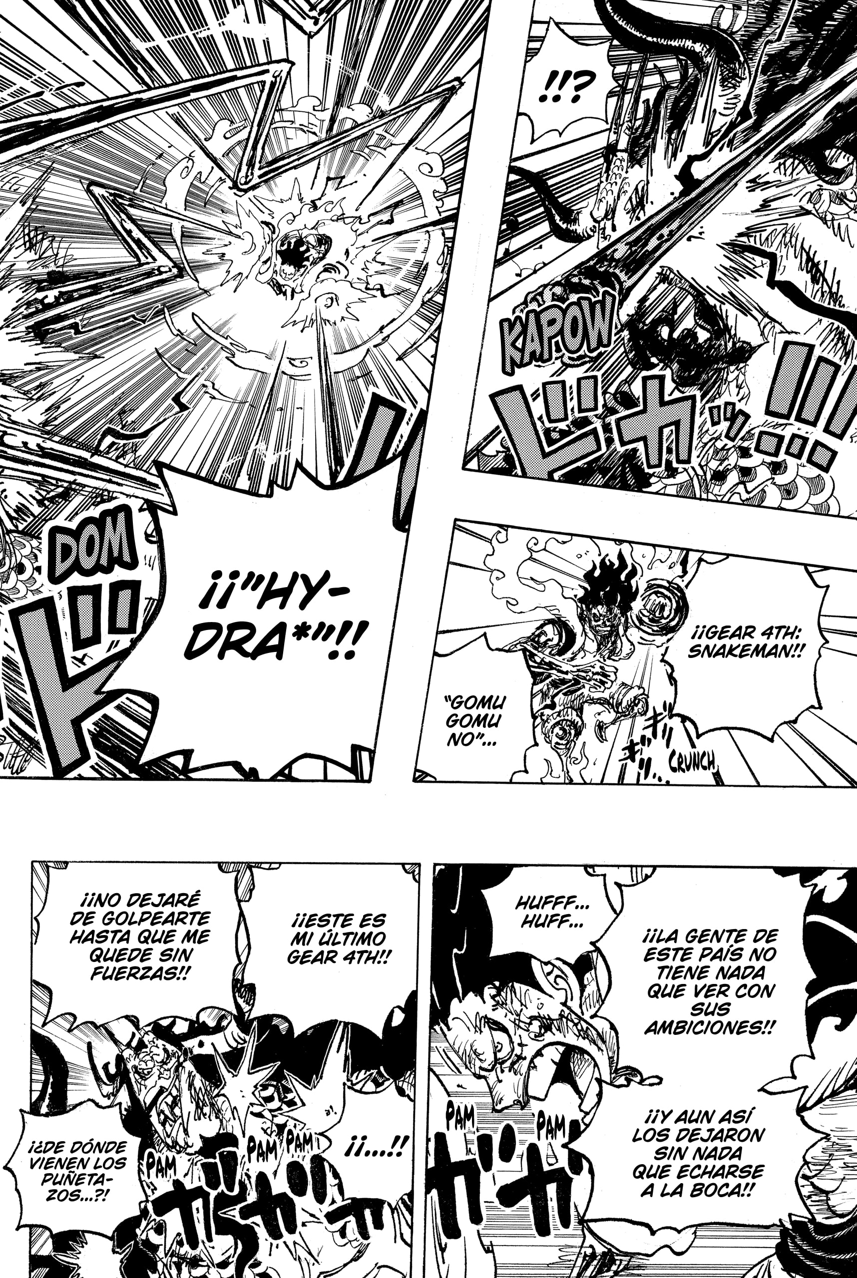 One Piece capítulo 1041 página 16