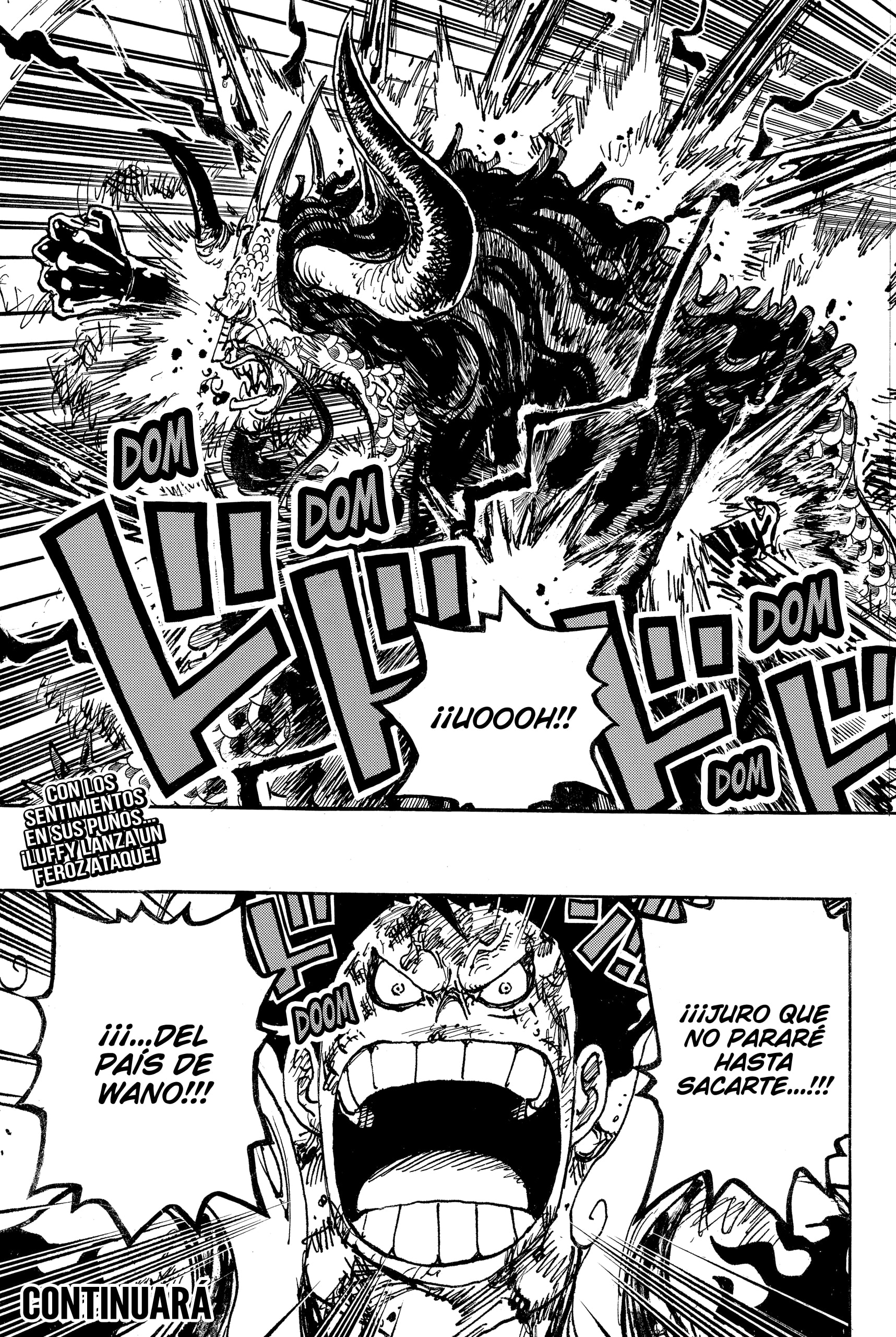 One Piece capítulo 1041 página 17