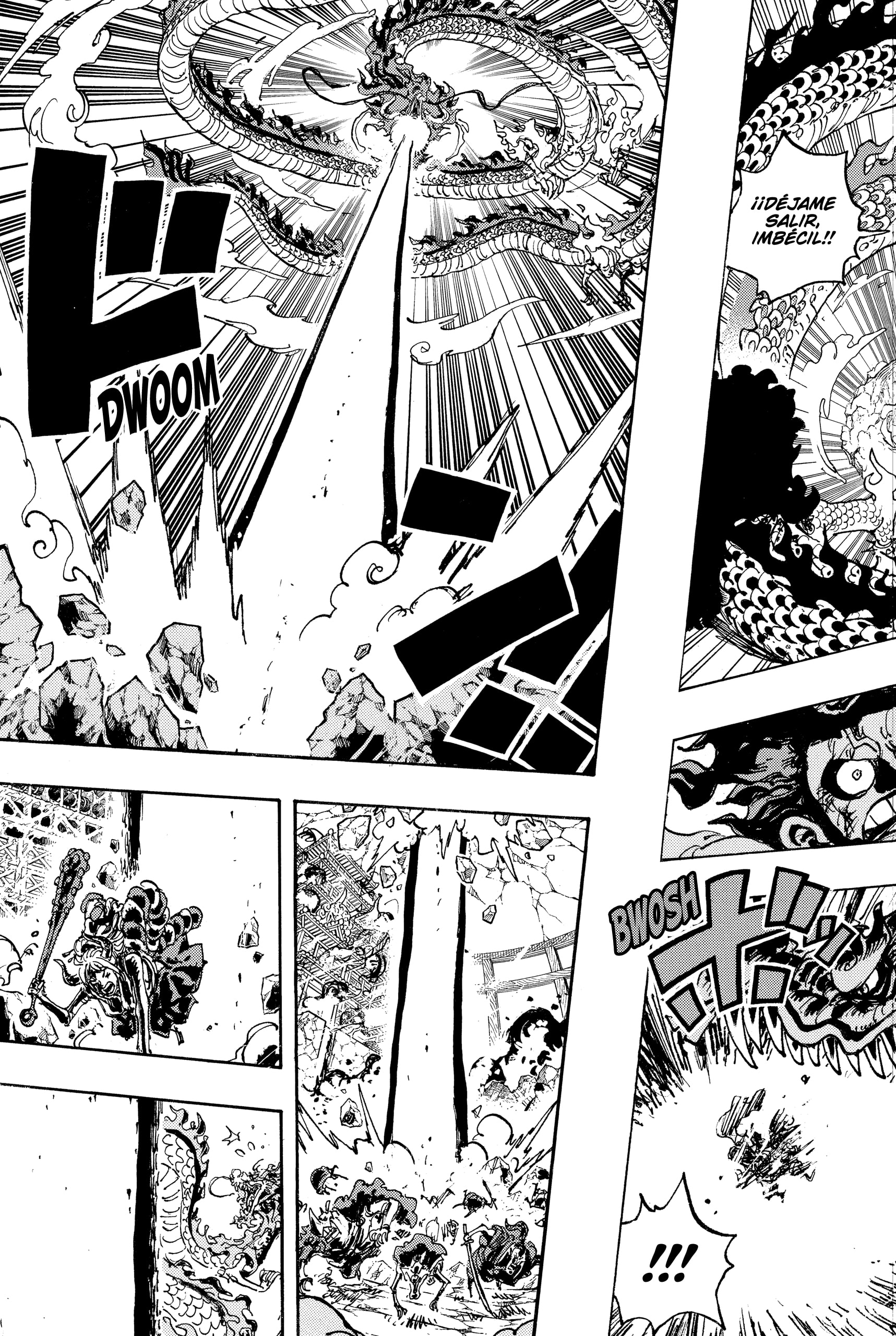 One Piece capítulo 1042 página 9