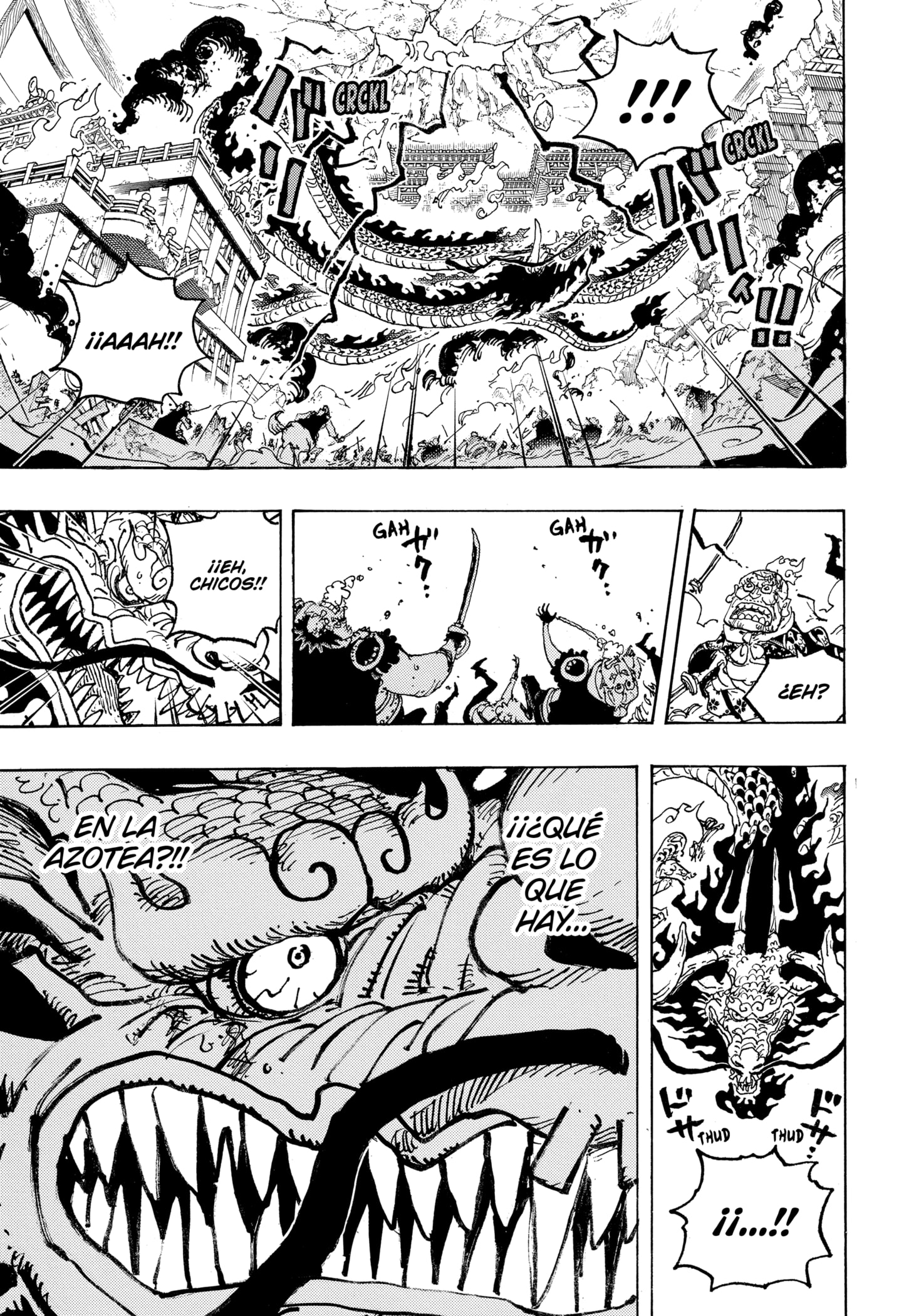 One Piece capítulo 1044 página 11