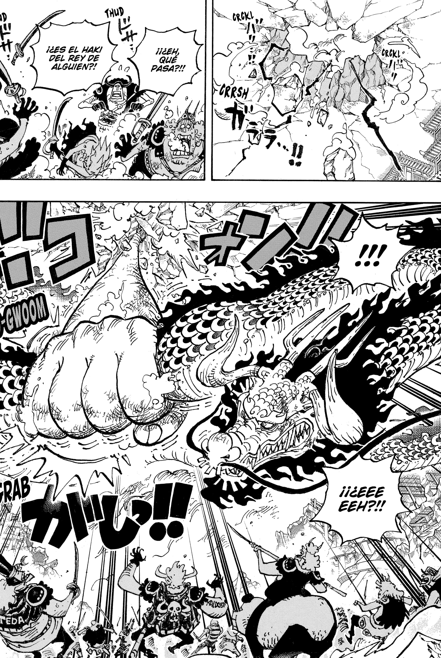 One Piece capítulo 1044 página 12