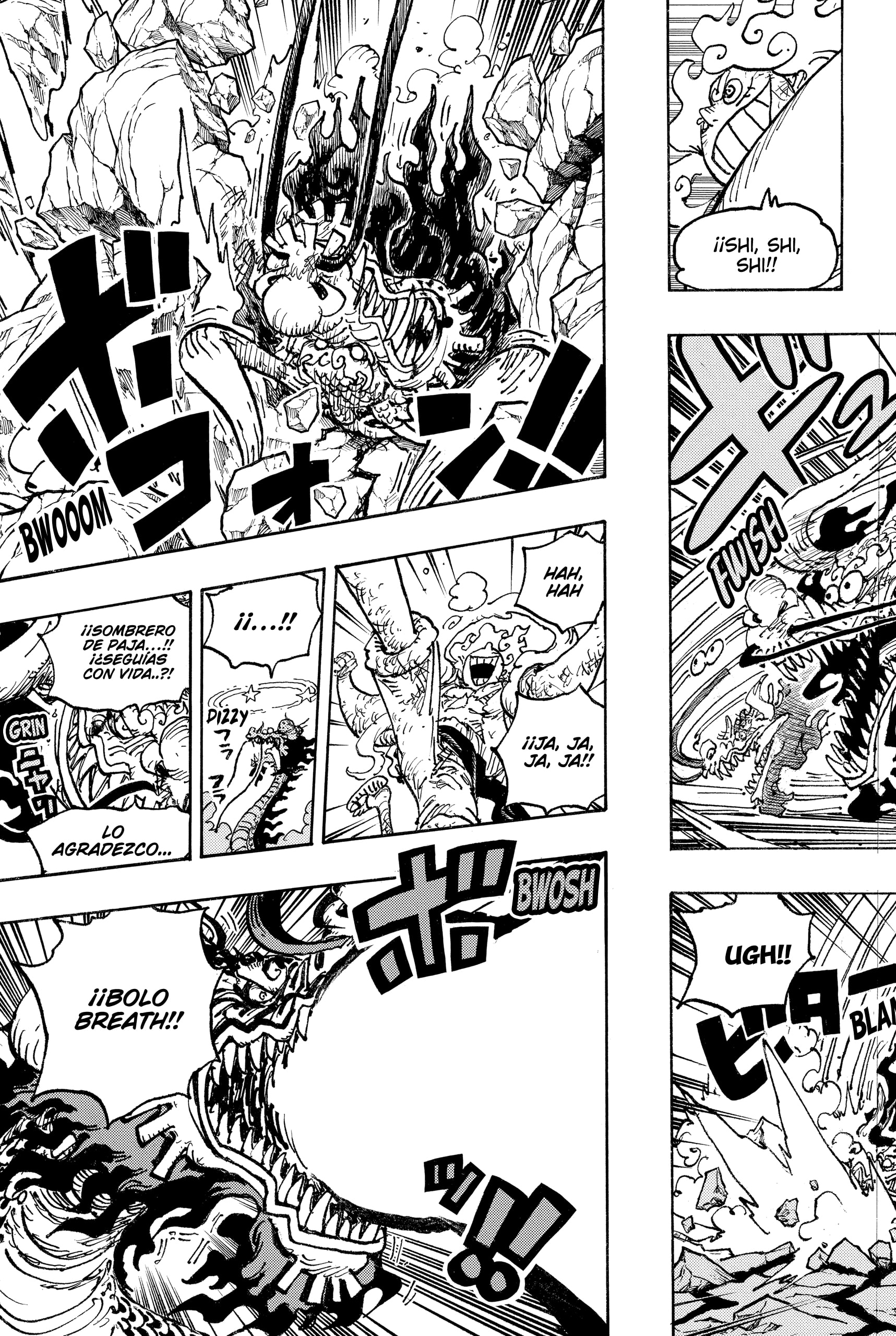 One Piece capítulo 1044 página 15