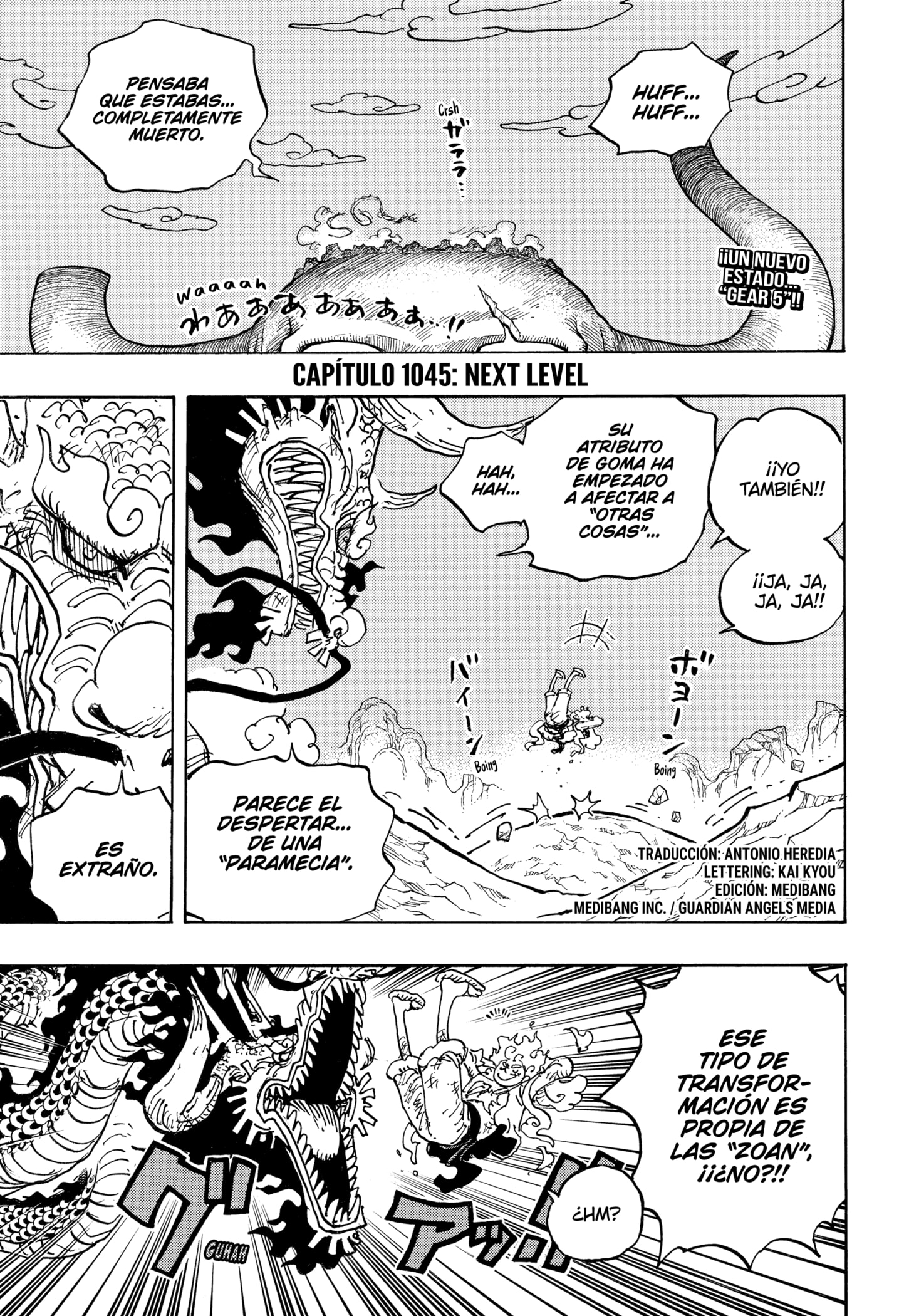 One Piece capítulo 1045 página 4