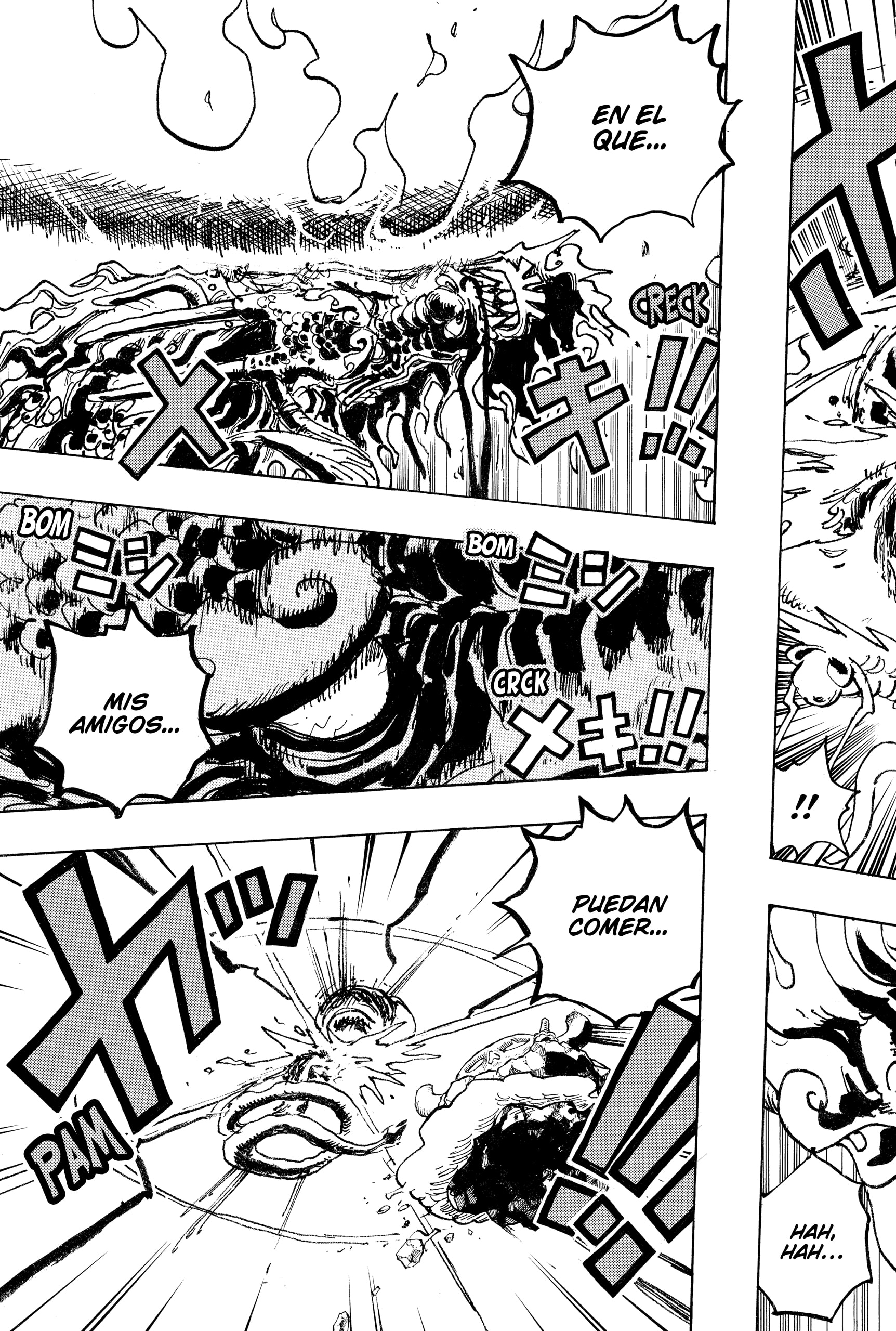One Piece capítulo 1049 página 13