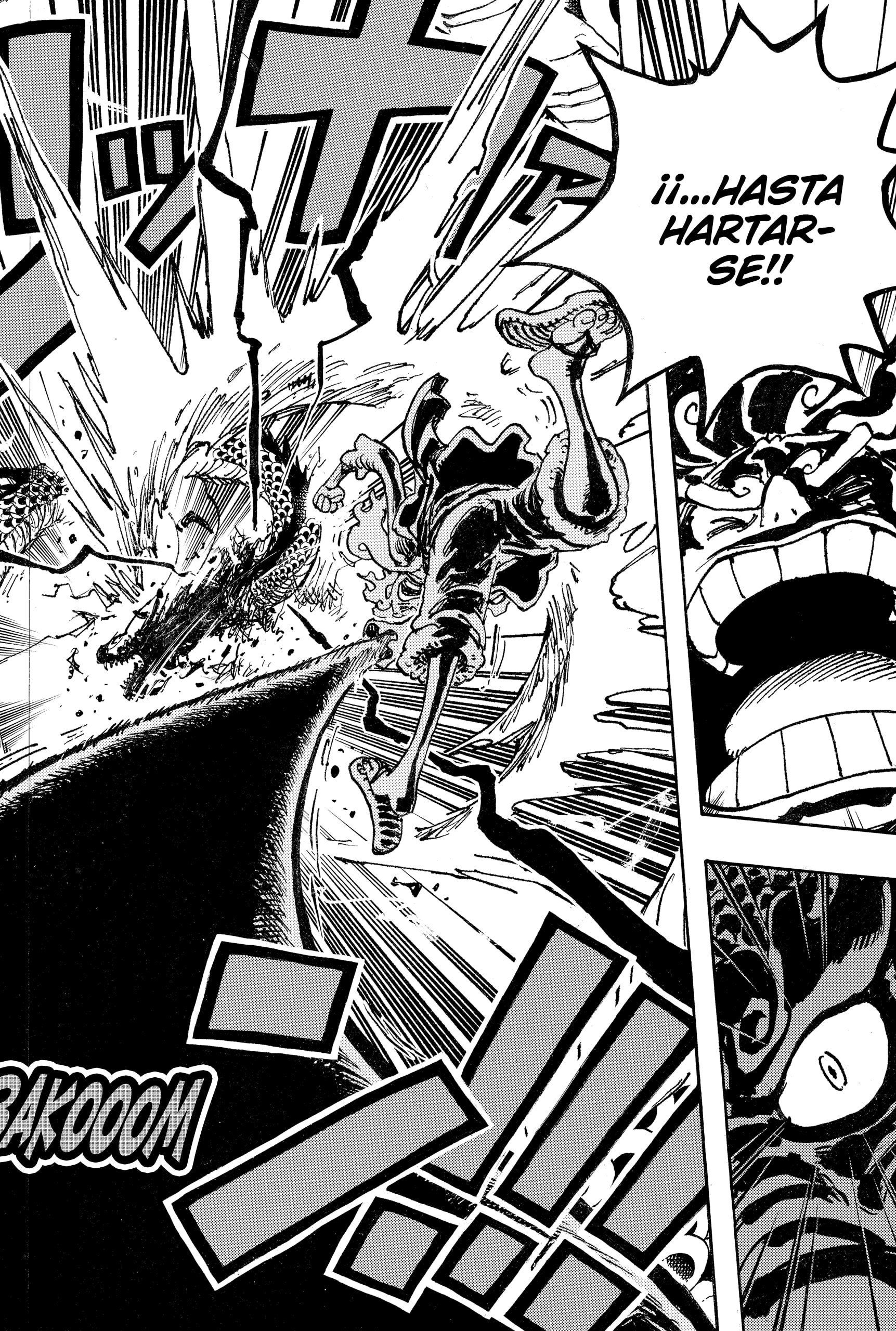 One Piece capítulo 1049 página 14