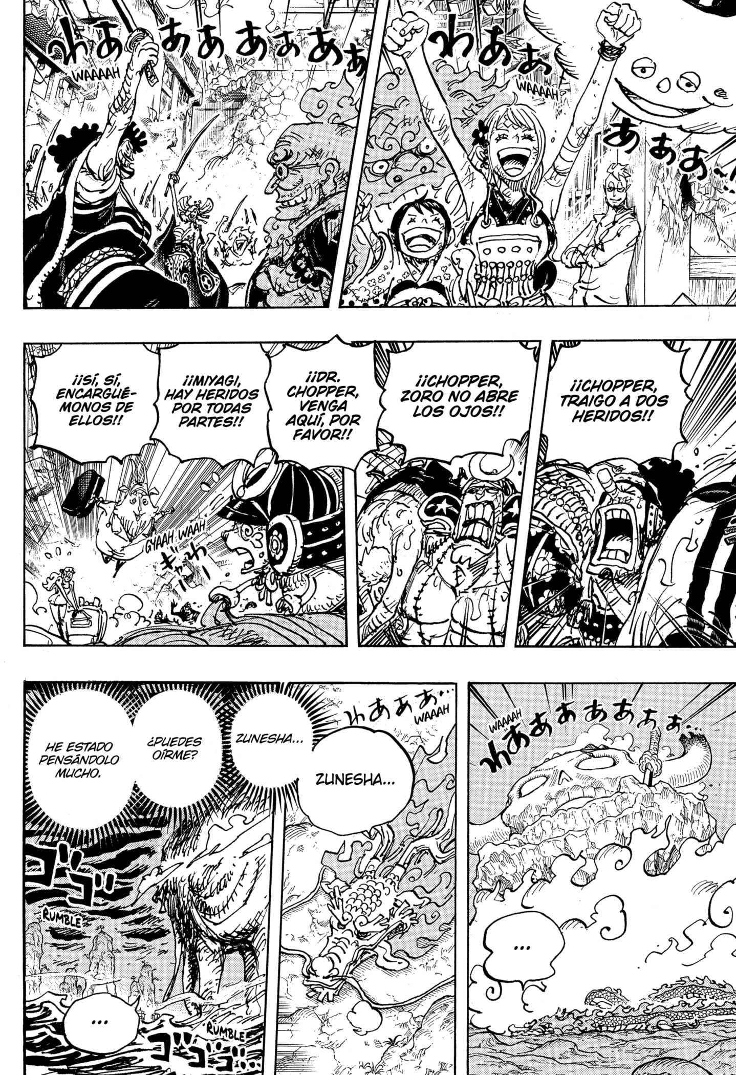 One Piece capítulo 1050 página 10