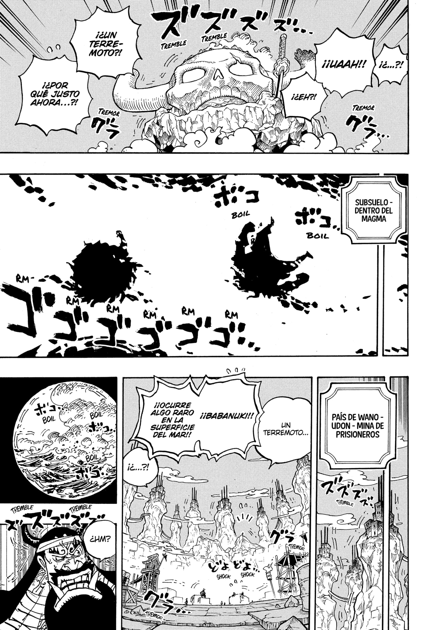 One Piece capítulo 1050 página 13