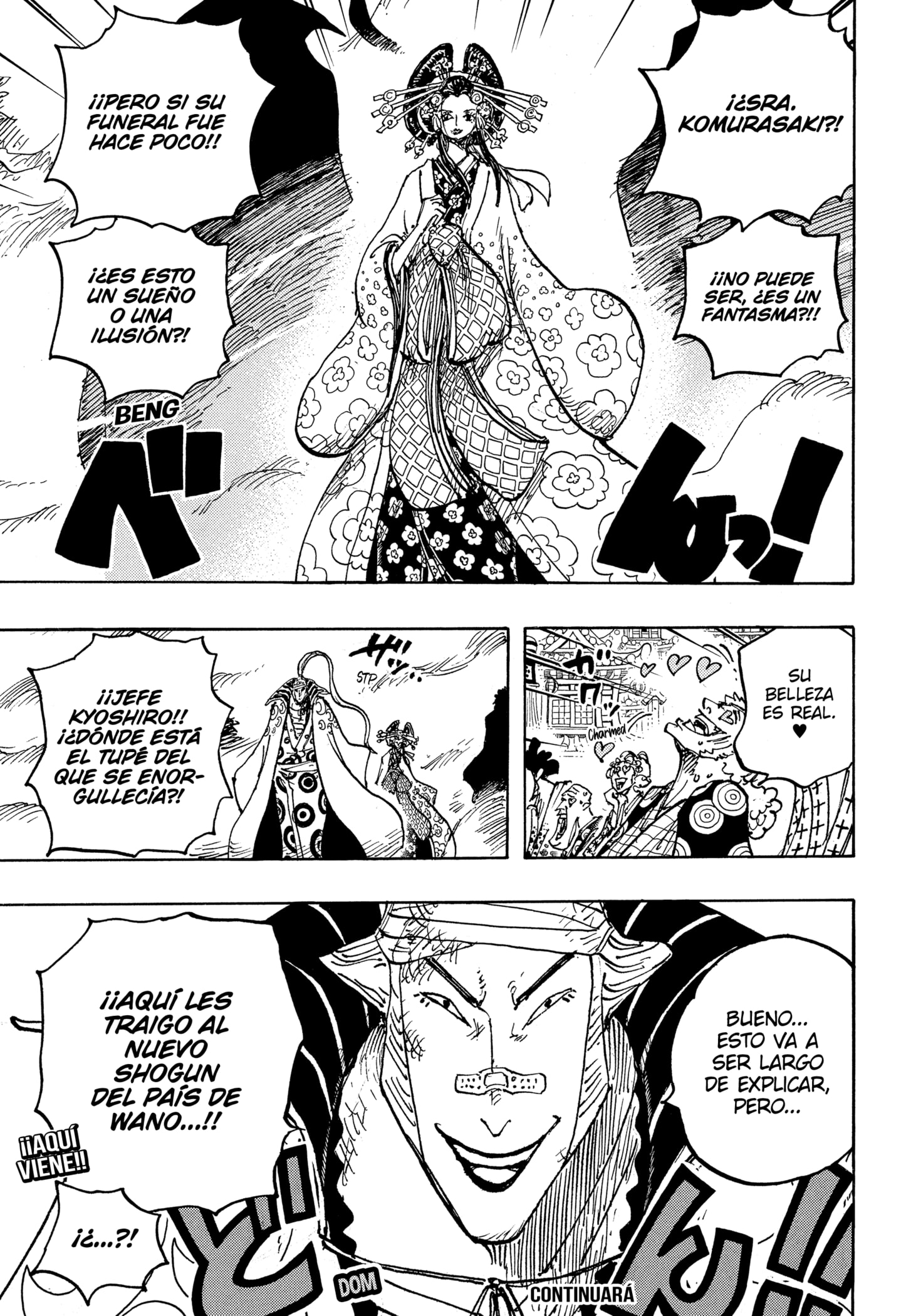 One Piece capítulo 1050 página 17