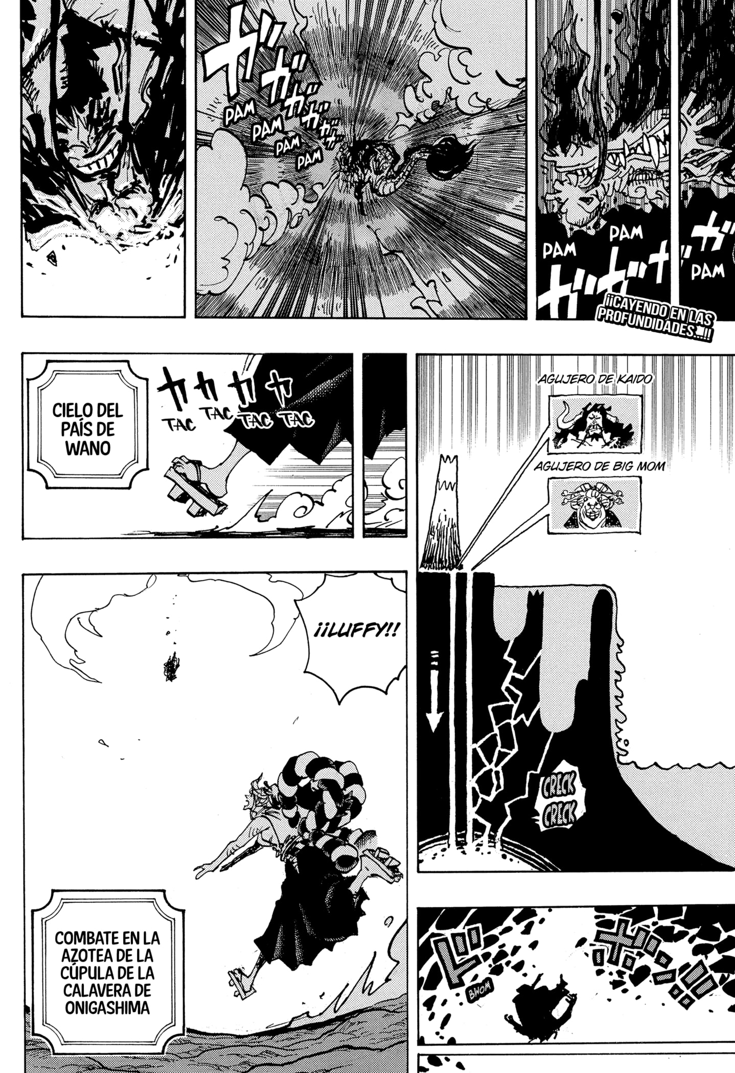 One Piece capítulo 1050 página 2