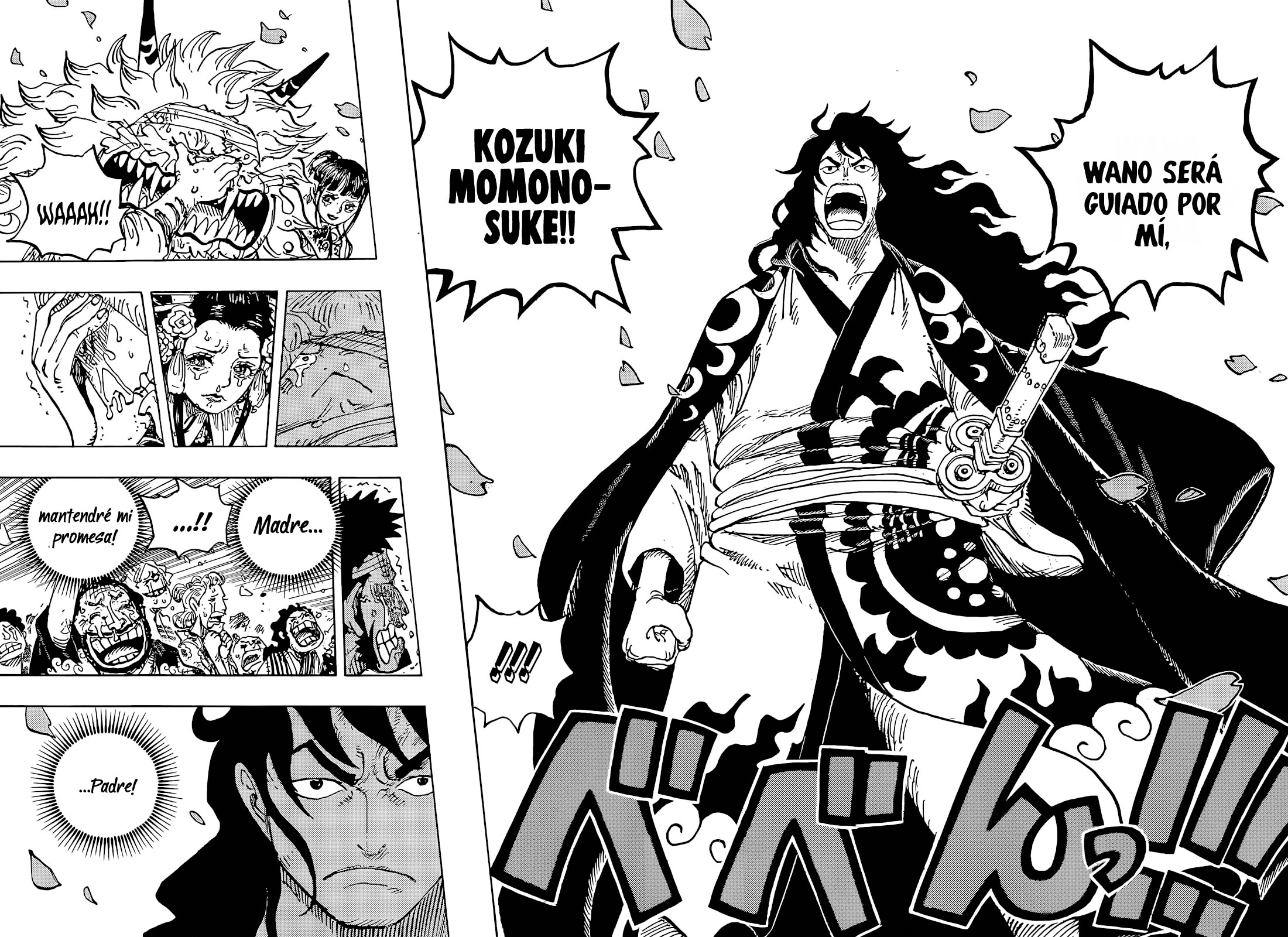 One Piece capítulo 1051 página 15