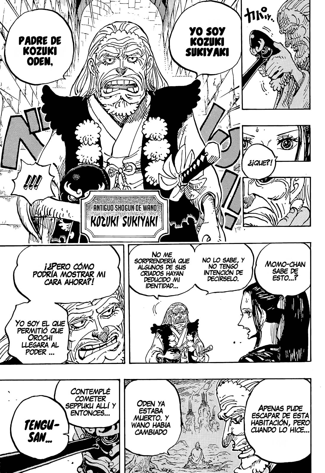 One Piece capítulo 1053 página 8