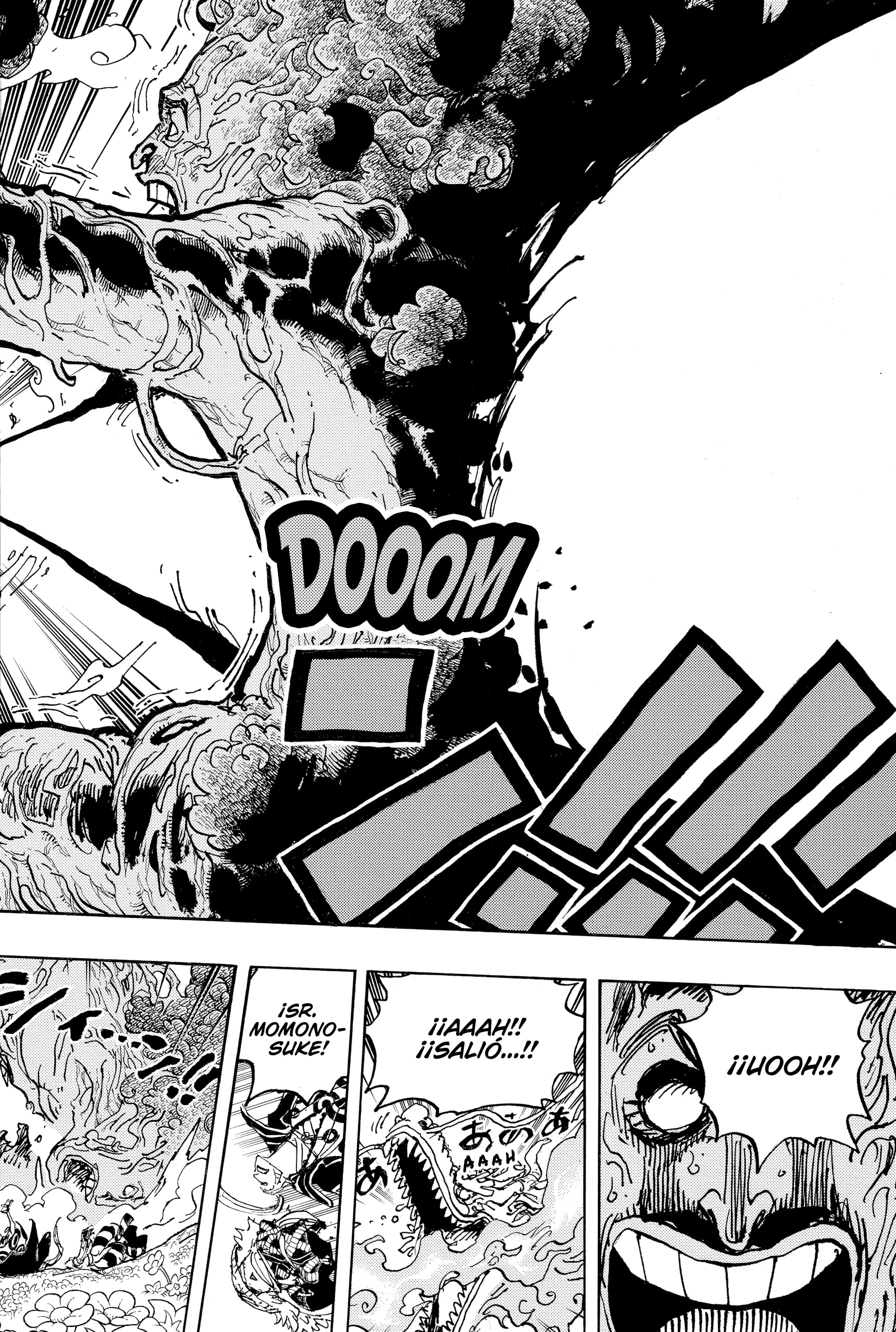 One Piece capítulo 1055 página 14
