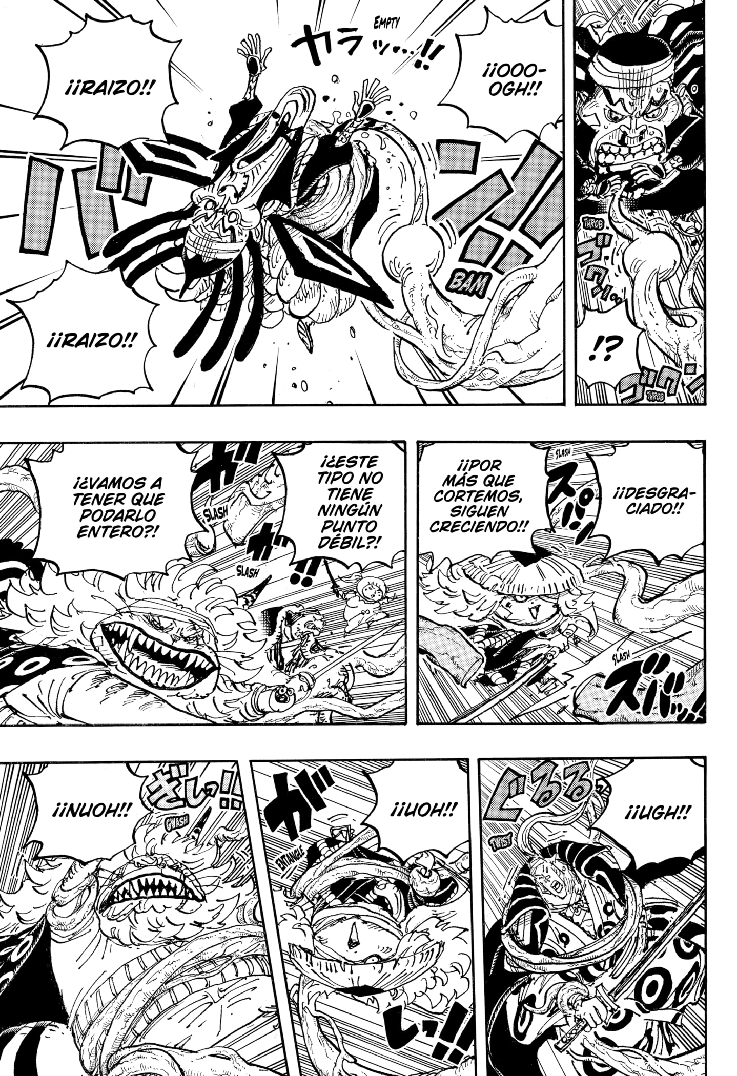 One Piece capítulo 1055 página 5
