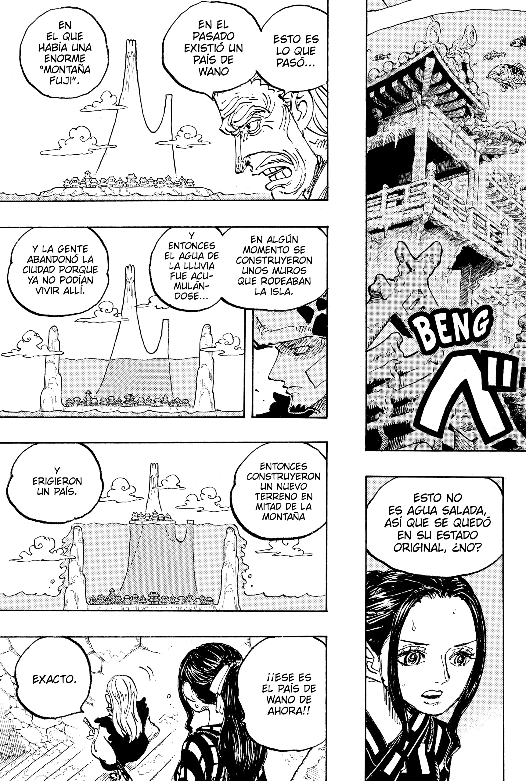 One Piece capítulo 1055 página 9