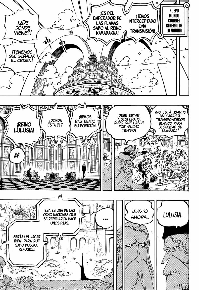 One Piece capítulo 1060 página 10