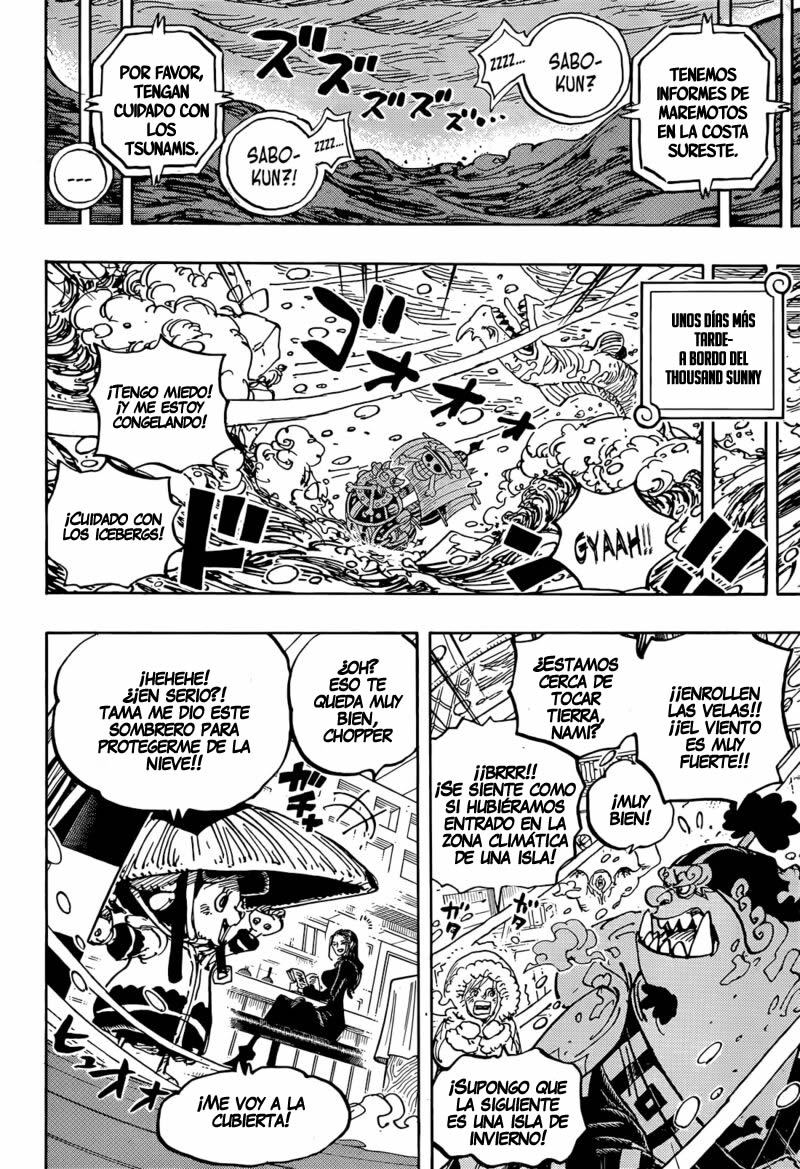 One Piece capítulo 1060 página 14