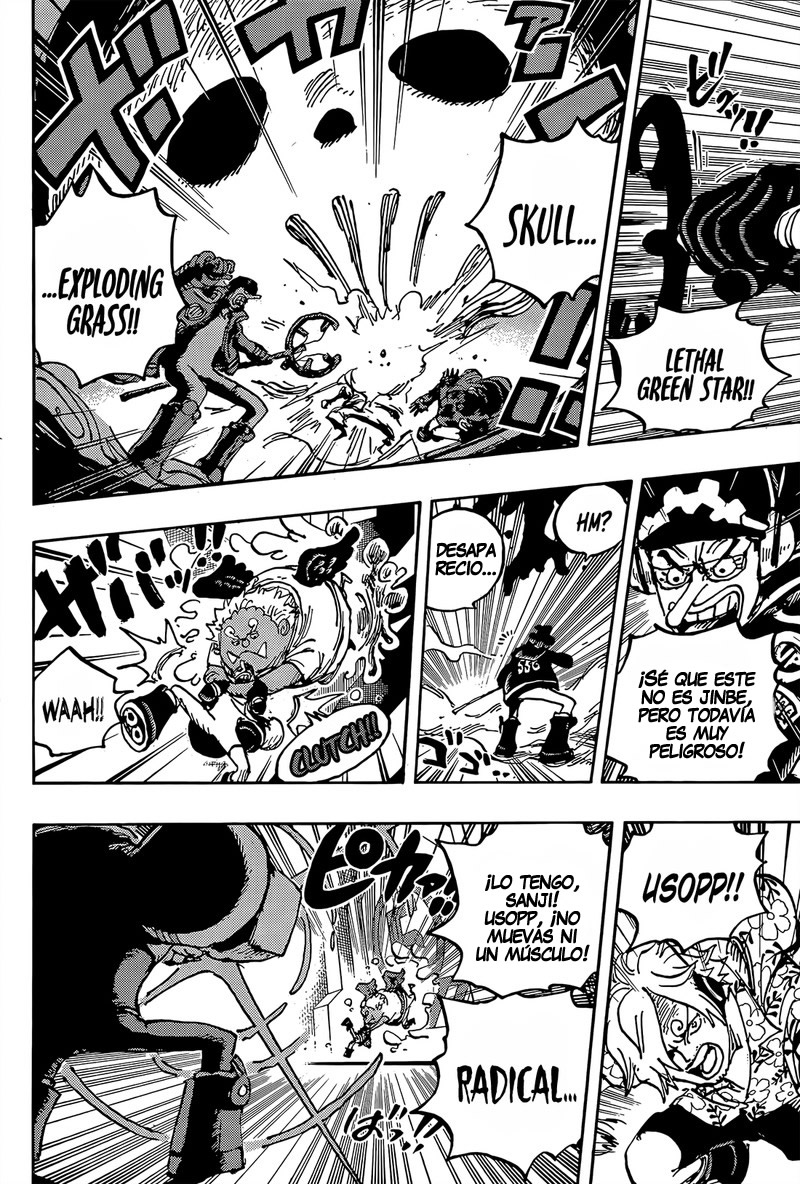 One Piece capítulo 1065 página 11