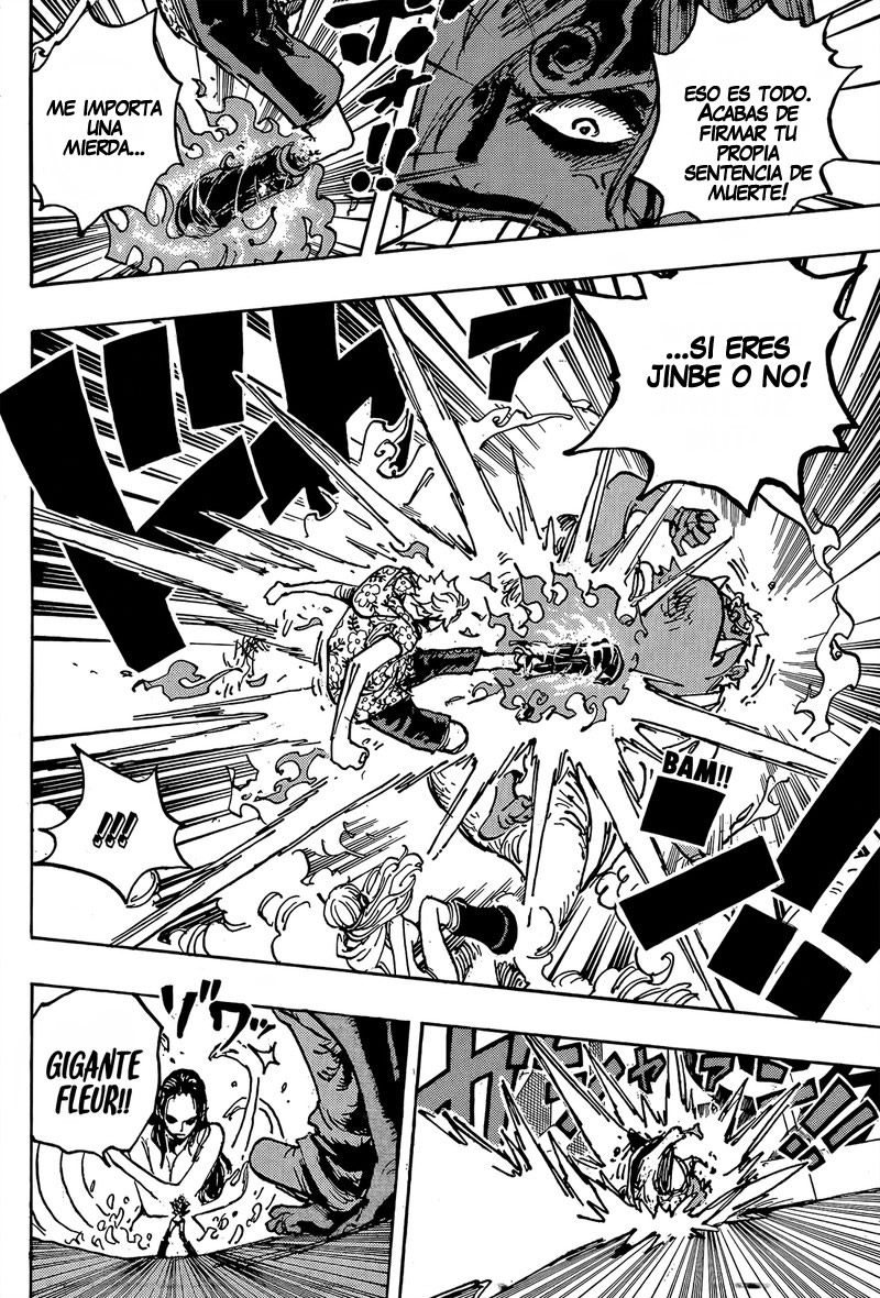 One Piece capítulo 1065 página 9