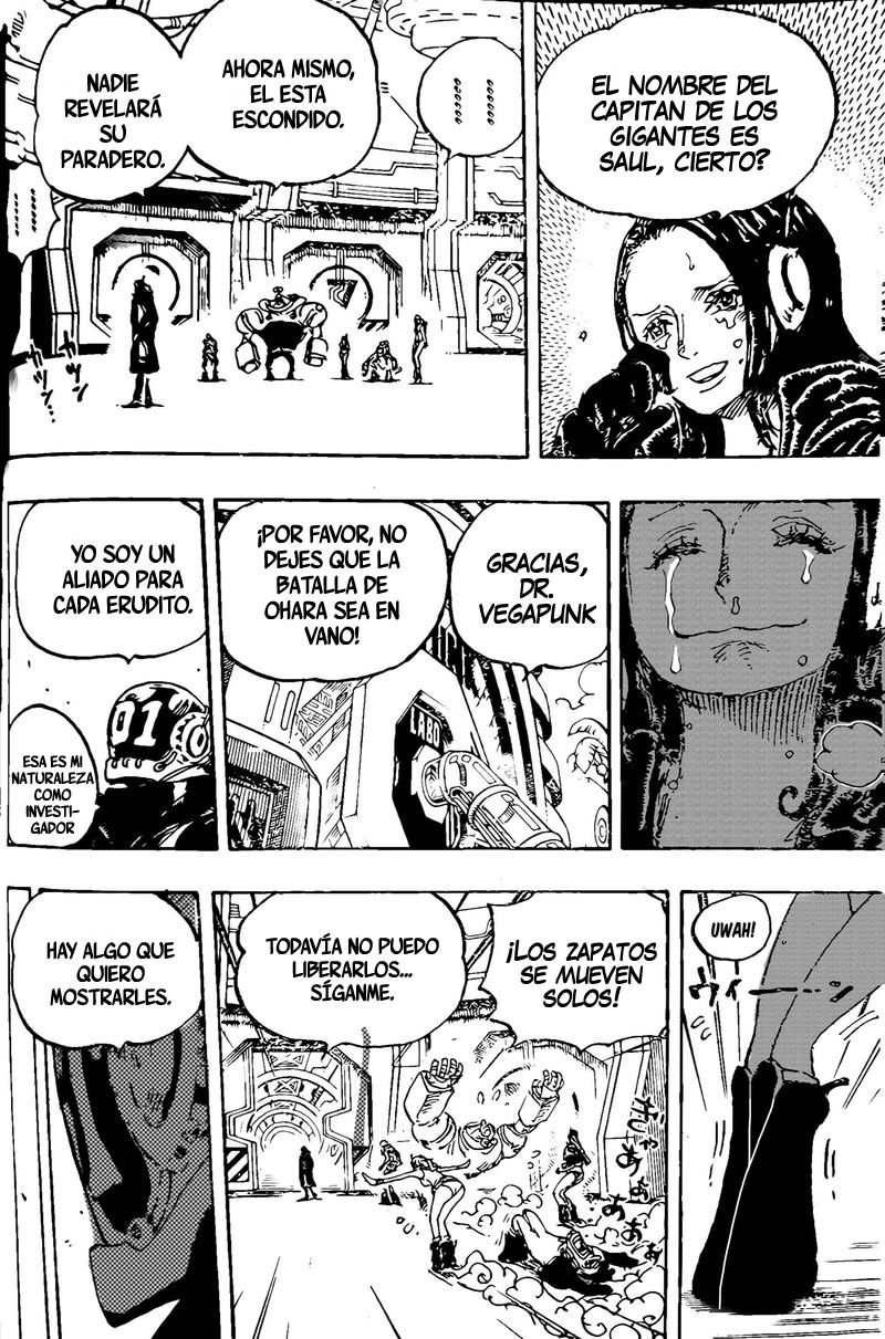 One Piece capítulo 1066 página 14