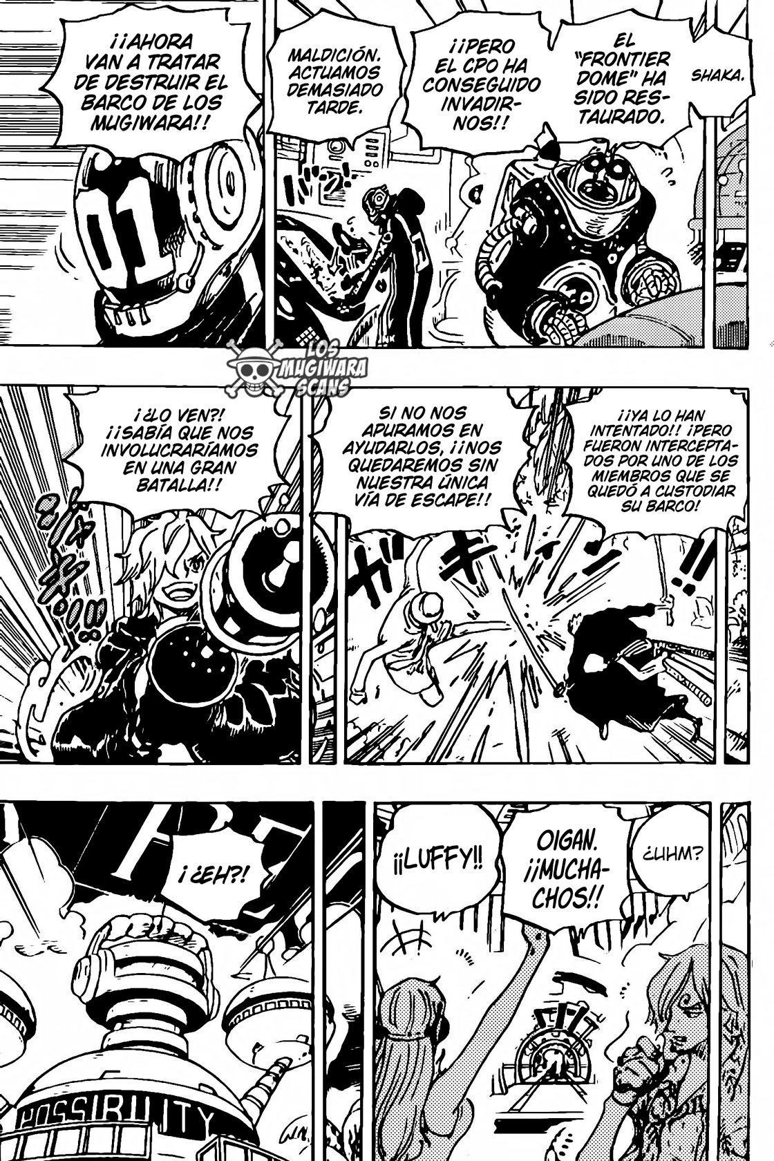 One Piece capítulo 1071 página 13