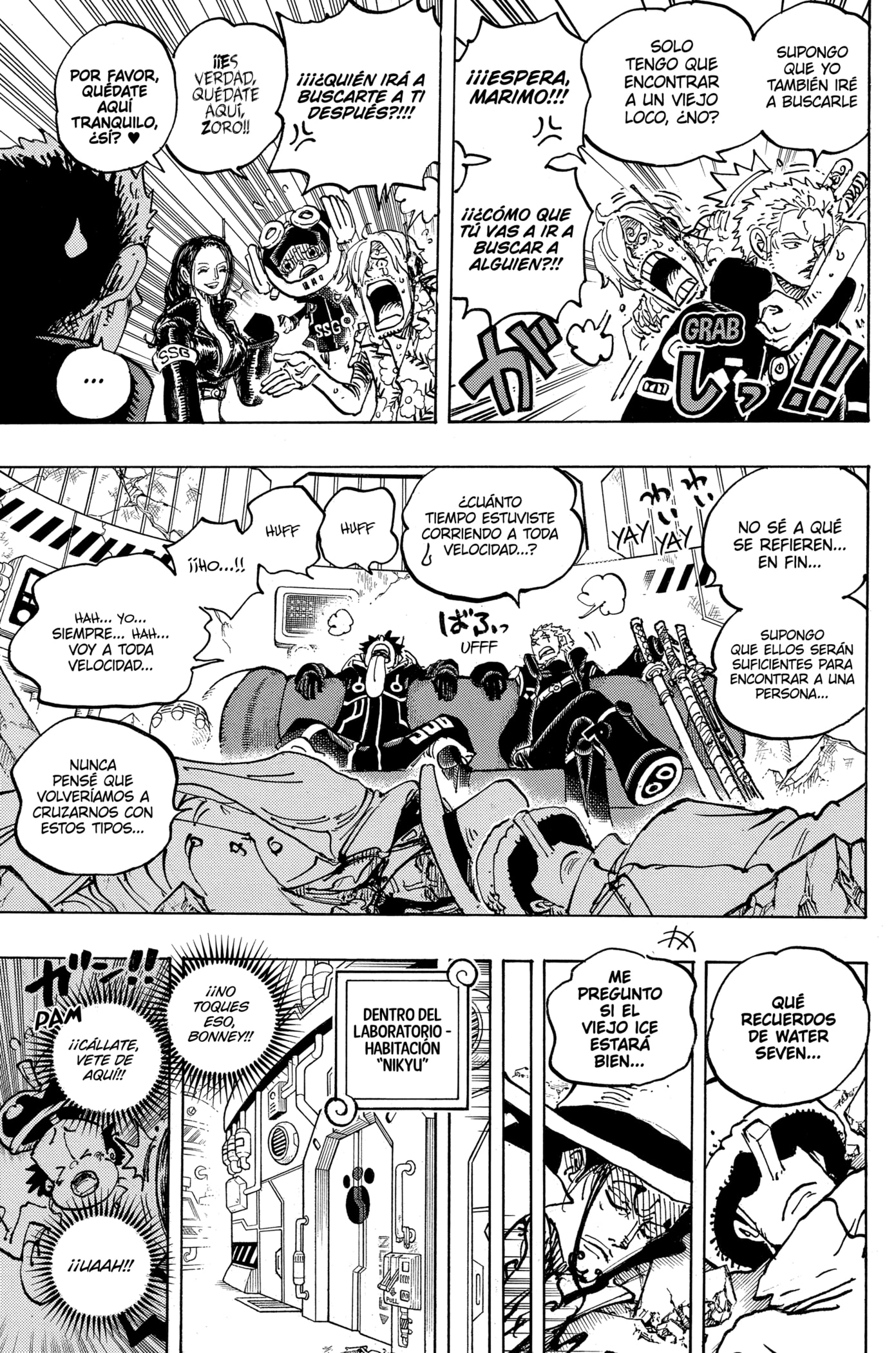 One Piece capítulo 1074 página 11